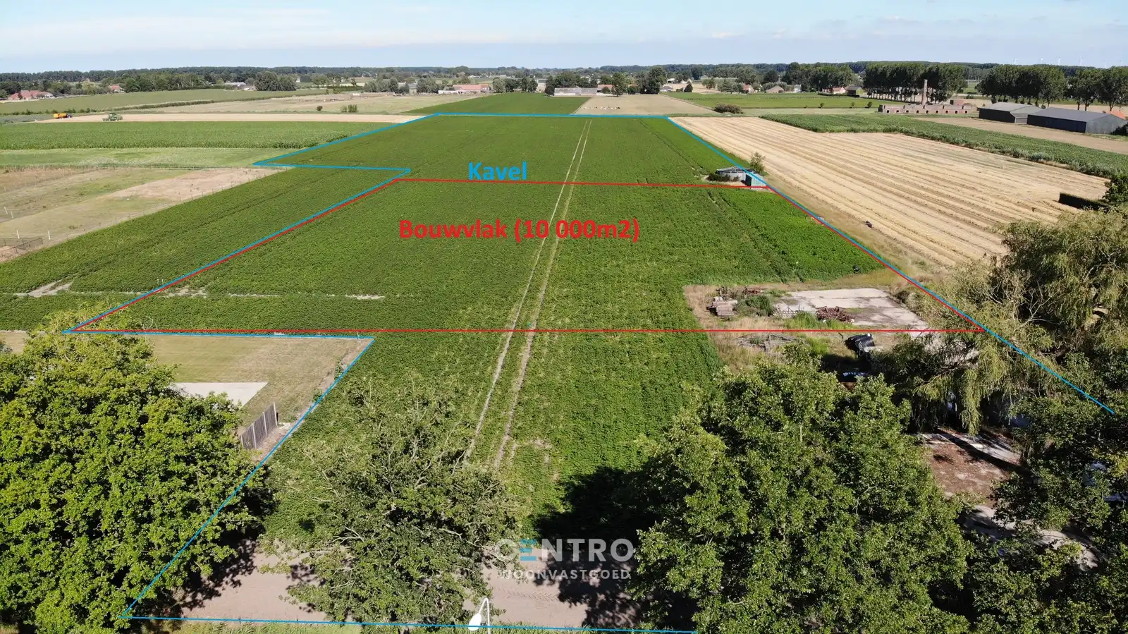 4,5 hectare grond met 1 hectare bouwvlak! foto 4