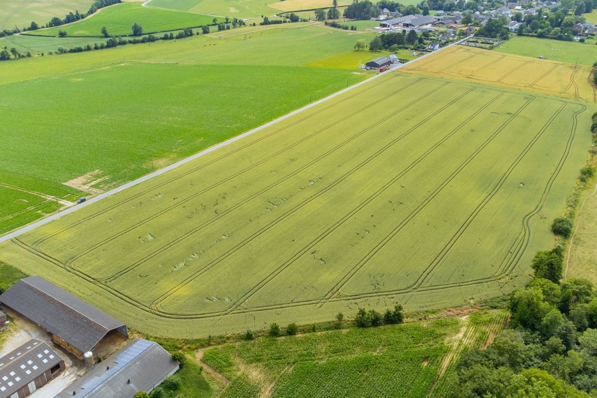 Vierkantshoeve met veestallen op 12,97 ha te koop te Ohey Perwez-Haillot (Condroz) foto 12