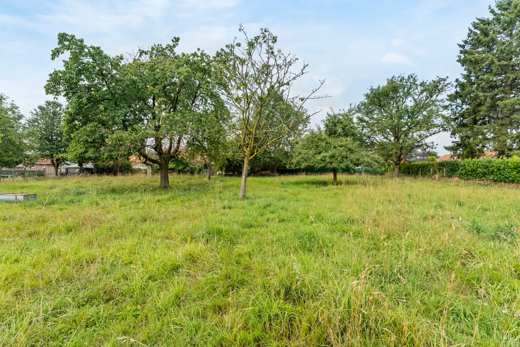 Authentieke vierkantshoeve op 40a14ca te Spouwen foto 28