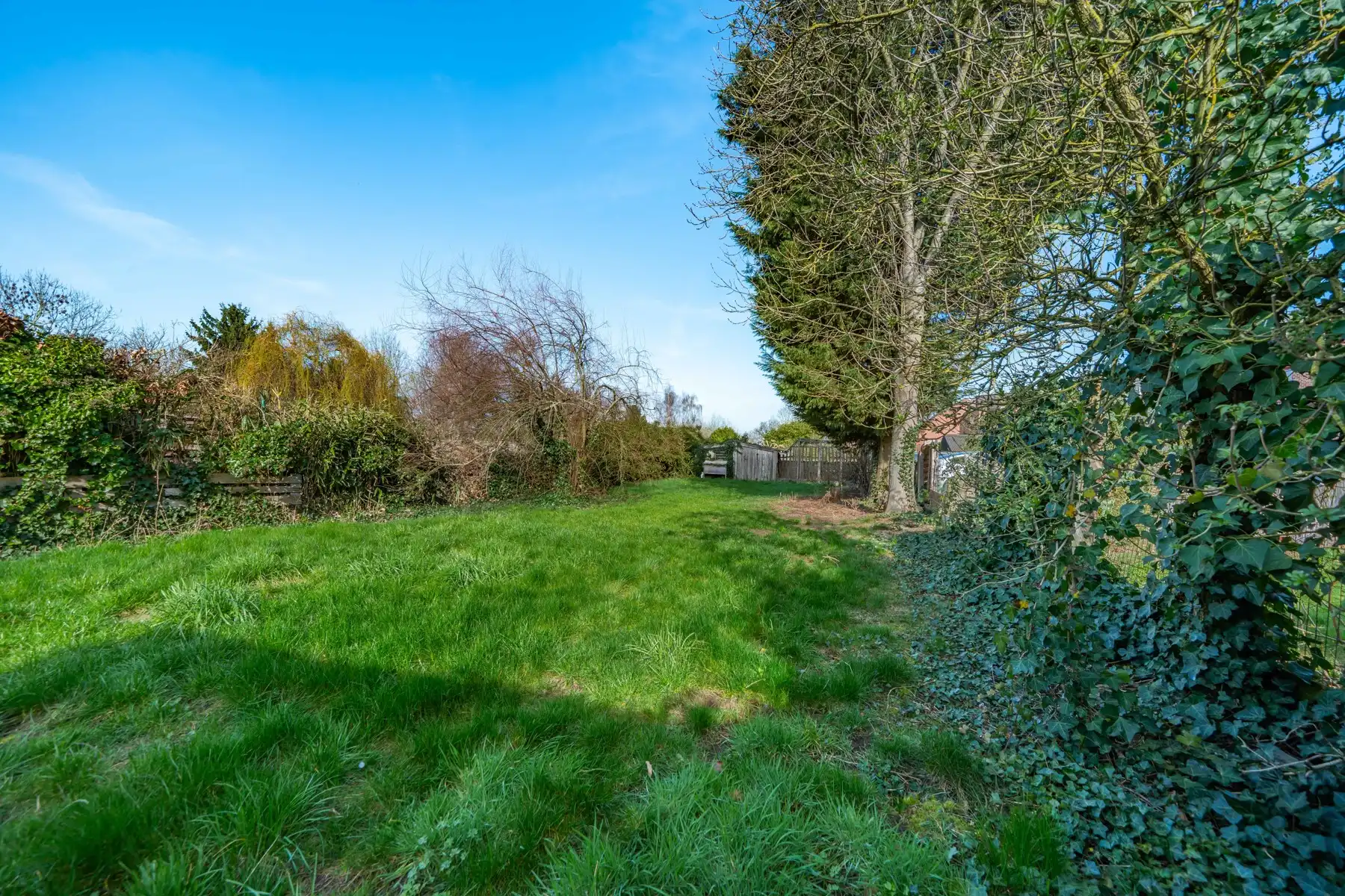 Grote woning in de dorpskern van Meerbeek foto 26