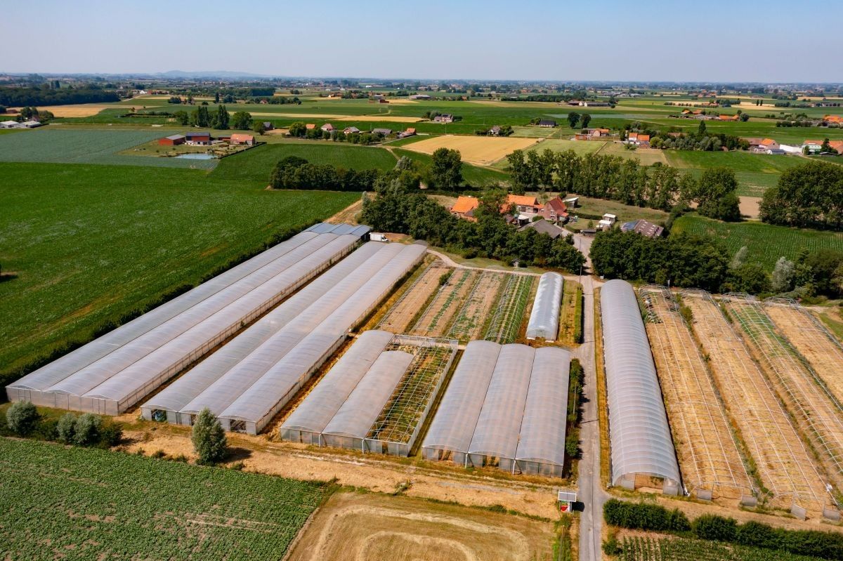Zeer mooi gelegen hoeve met aanpalende landbouwgronden te koop te West-Vleteren foto 8