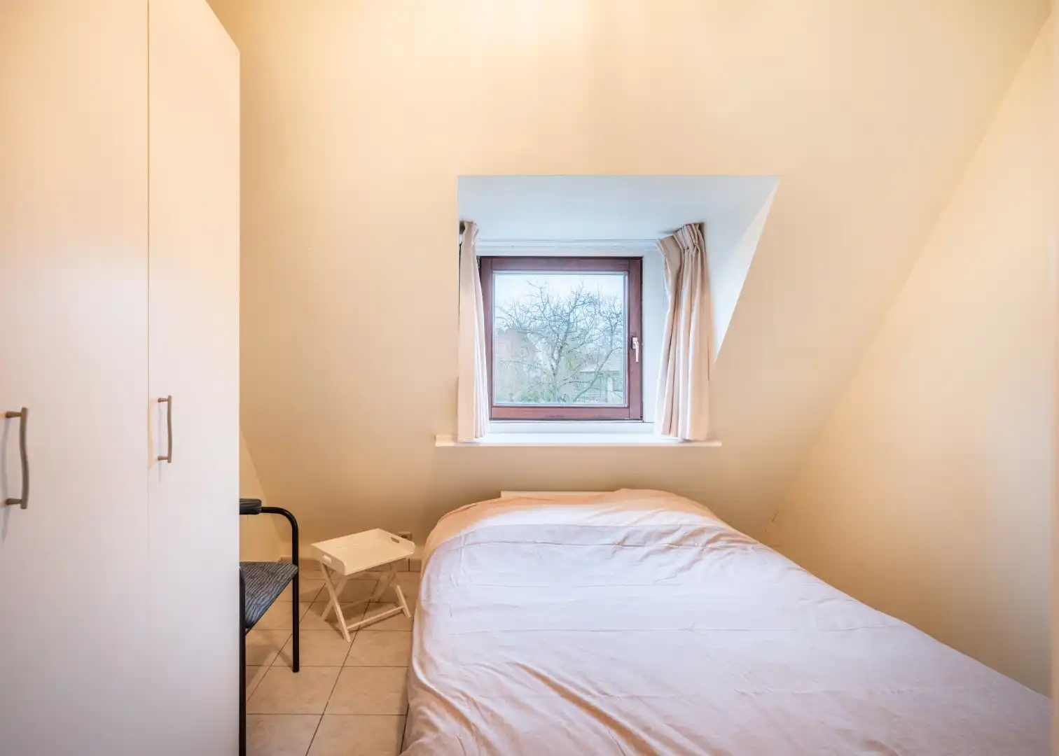 Gerania - 02.04 + P02 foto 10