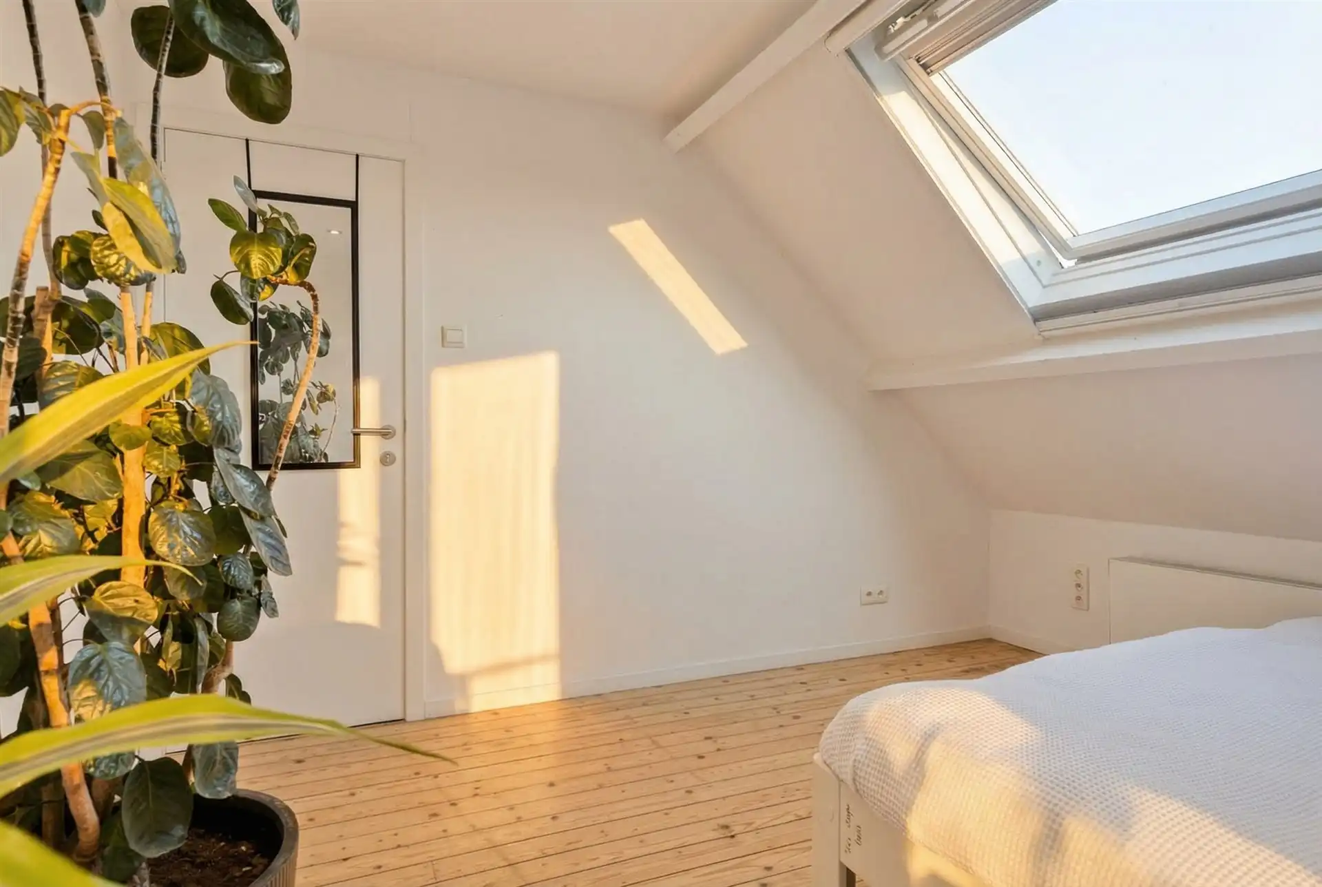 Sometimes the current of life moves the stones in the river foto 21