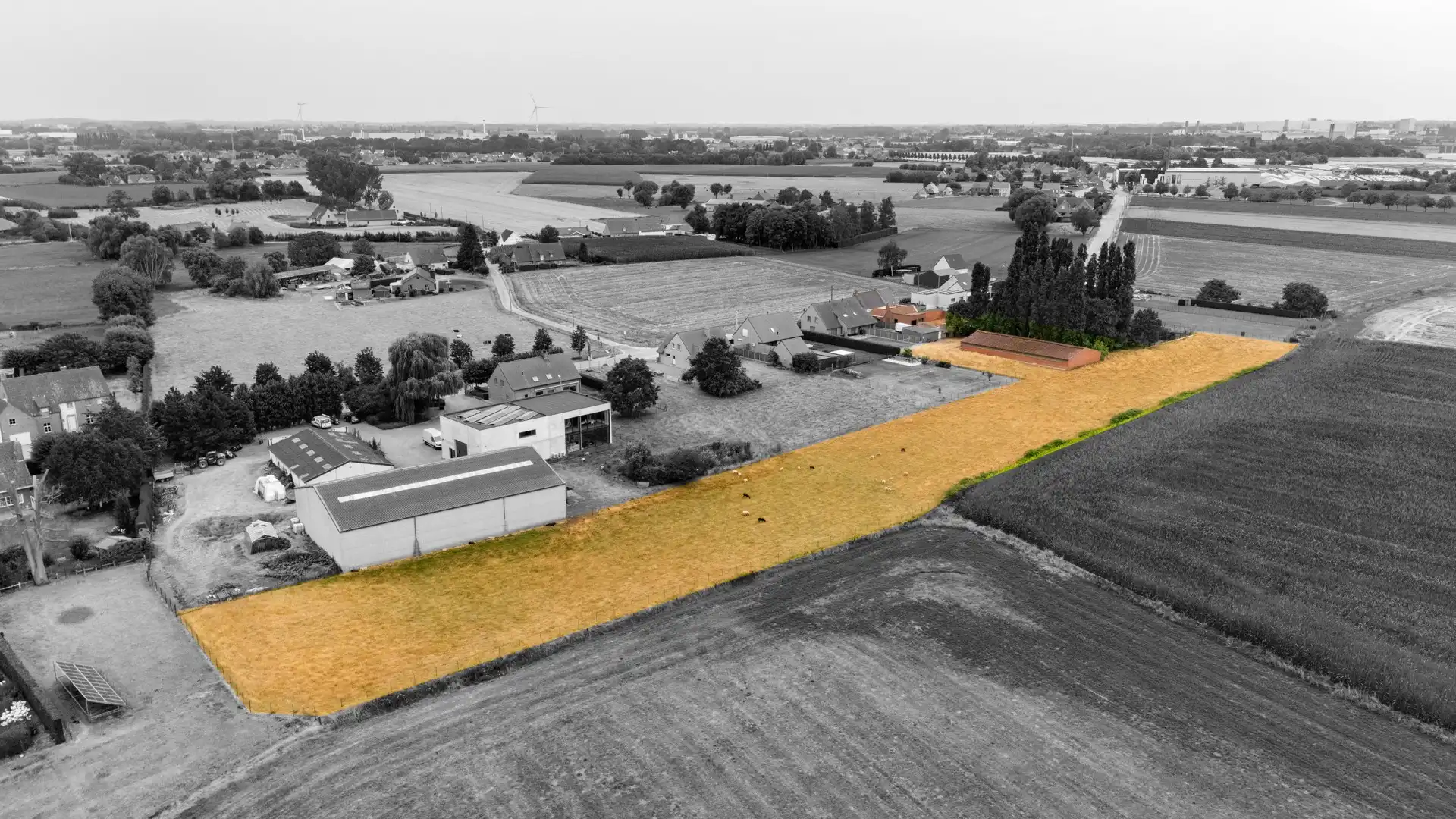 Te slopen LANDELIJK gelegen woning op een perceel van 815 m² in WIELSBEKE foto 15