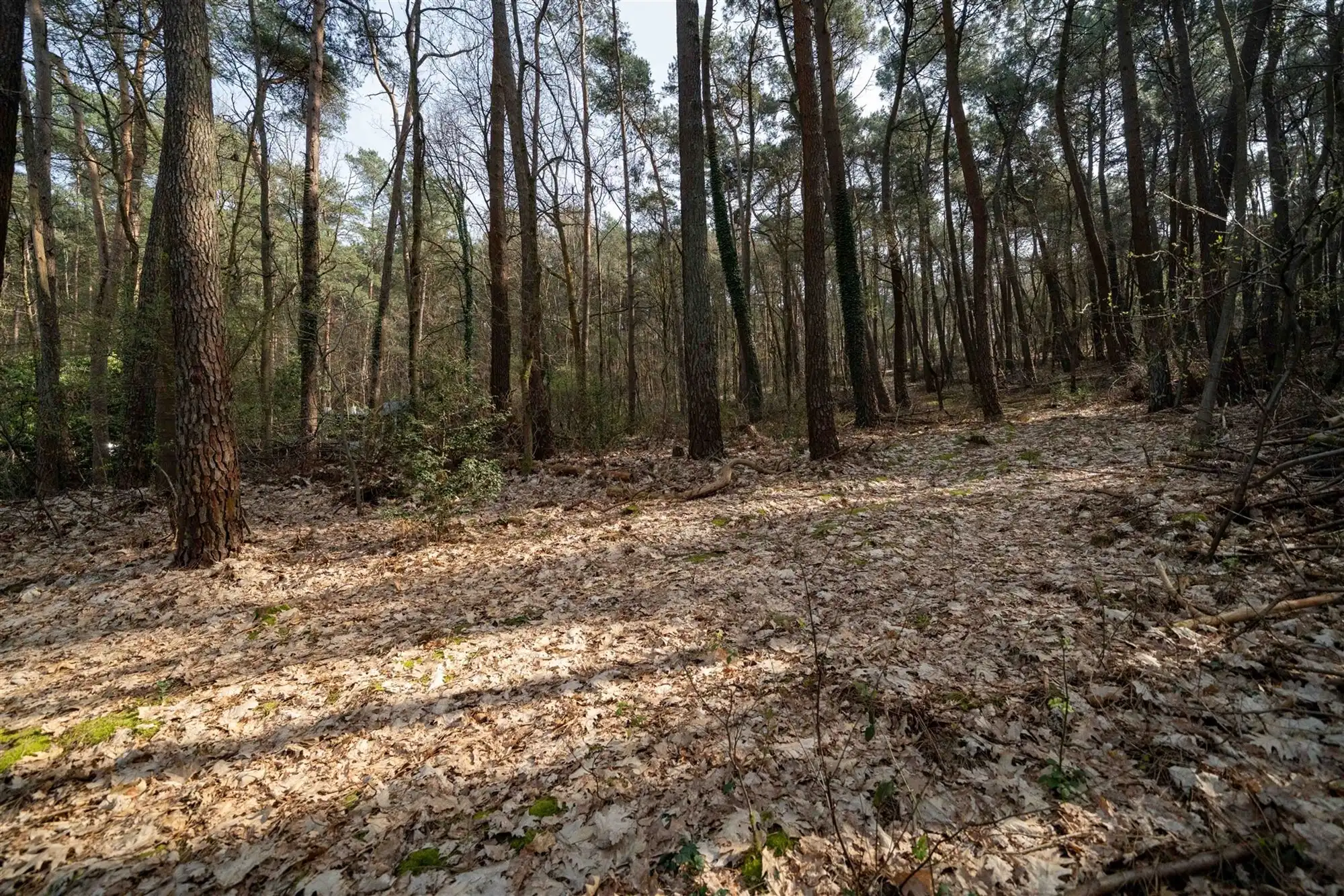Ruime instapklare woning in het groene Langdorp/Aarschot! foto 40
