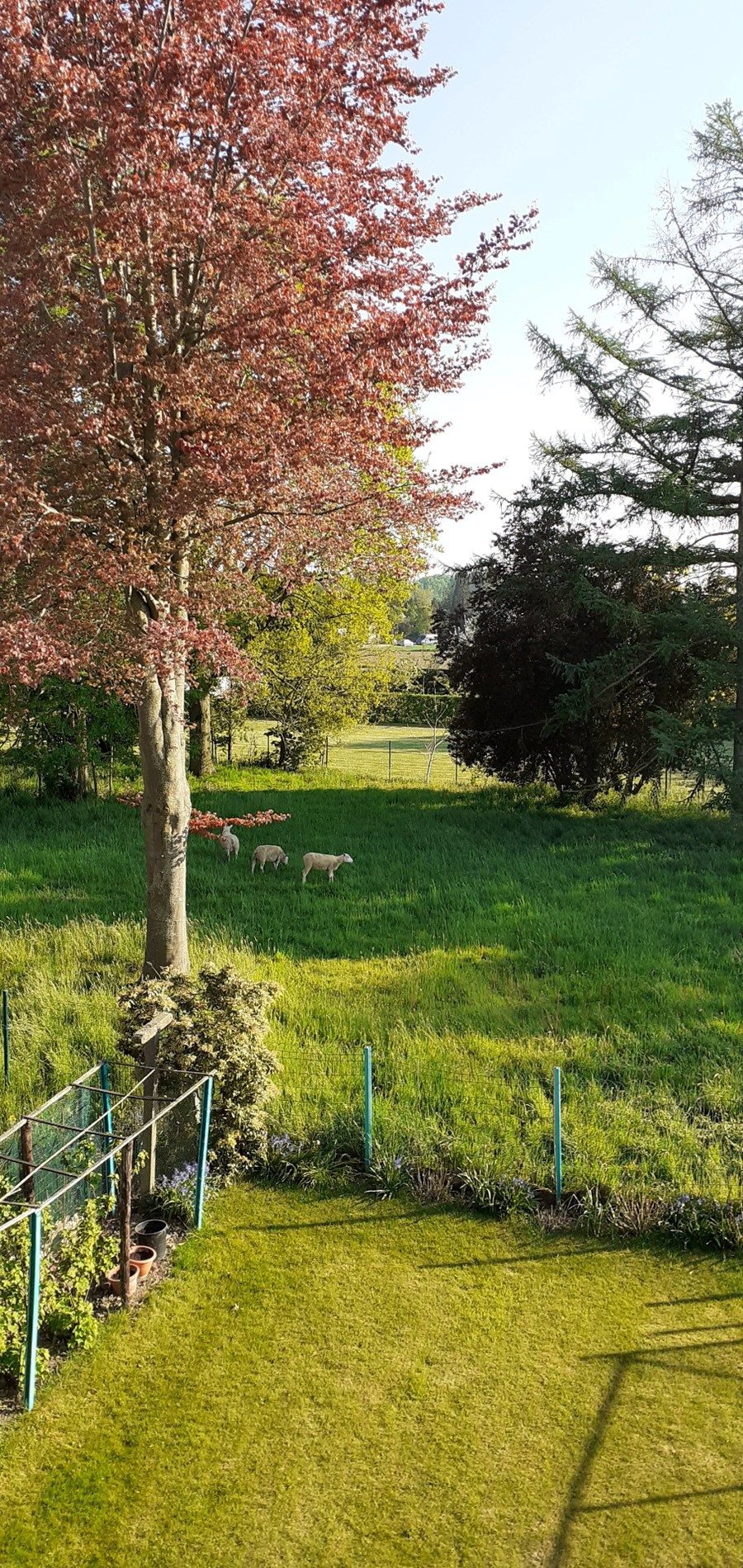 Ruim en licht appartement met prachtig zicht op groen 🌿: 2 slpk en bureau + garage + terras + extra ruimte foto 20