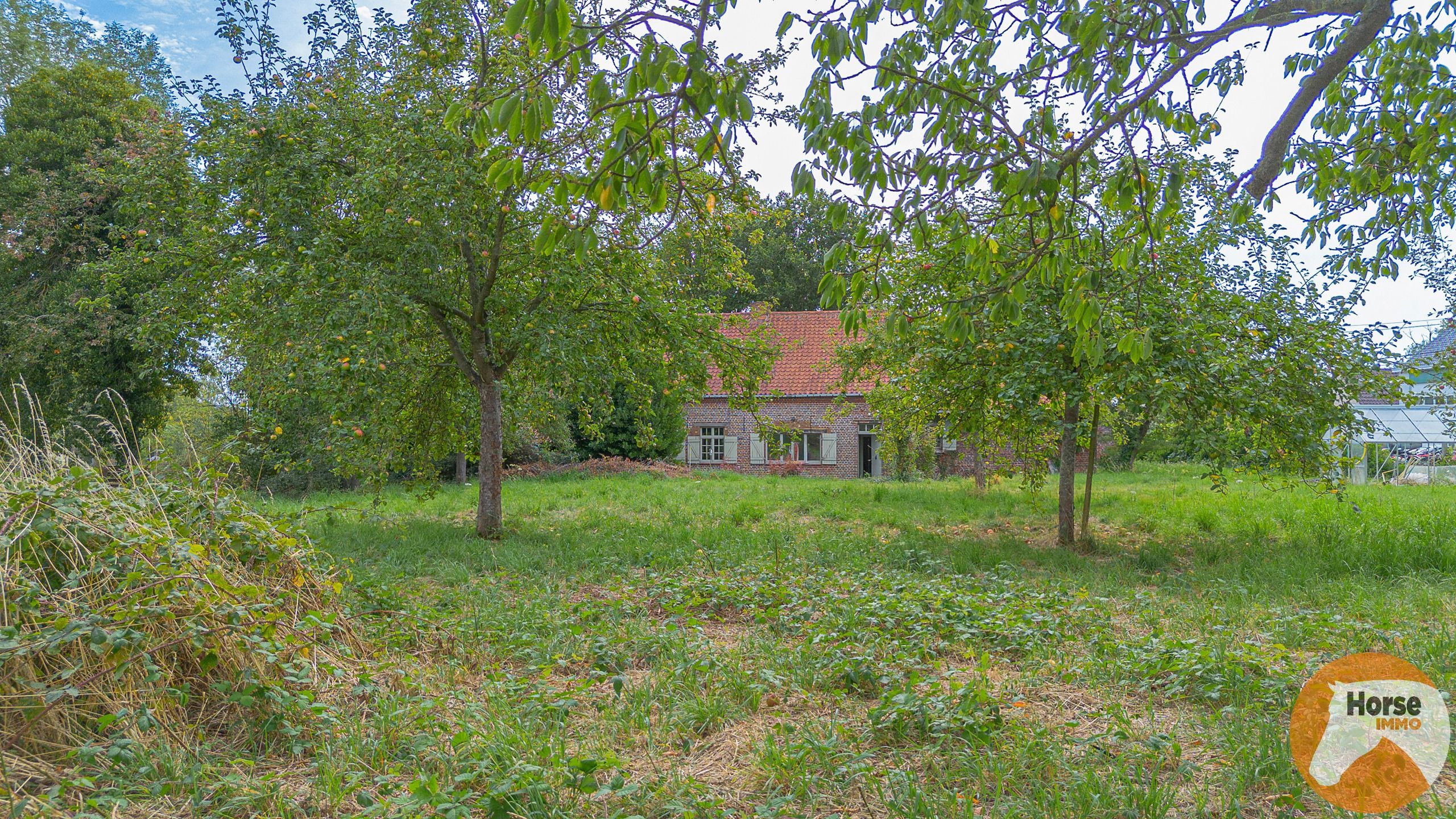 AAIGEM - Prachtige vierkantshoeve foto 10