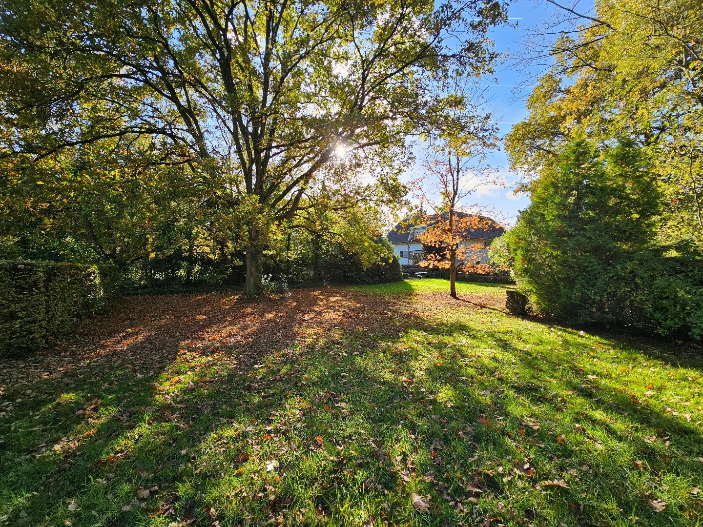 Ruime villa op 1,15 ha  foto 23