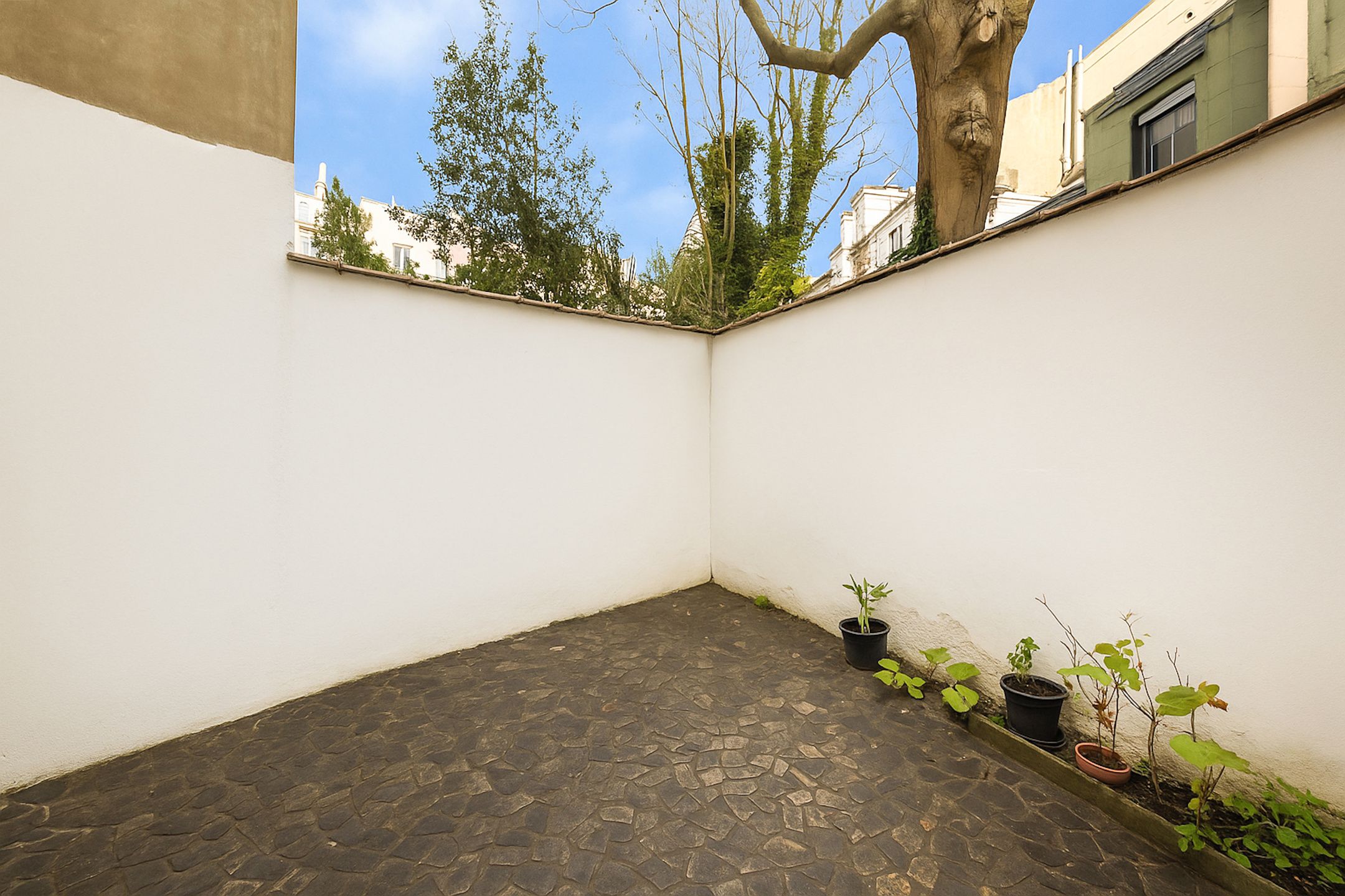 Opbrengstpand foto 12