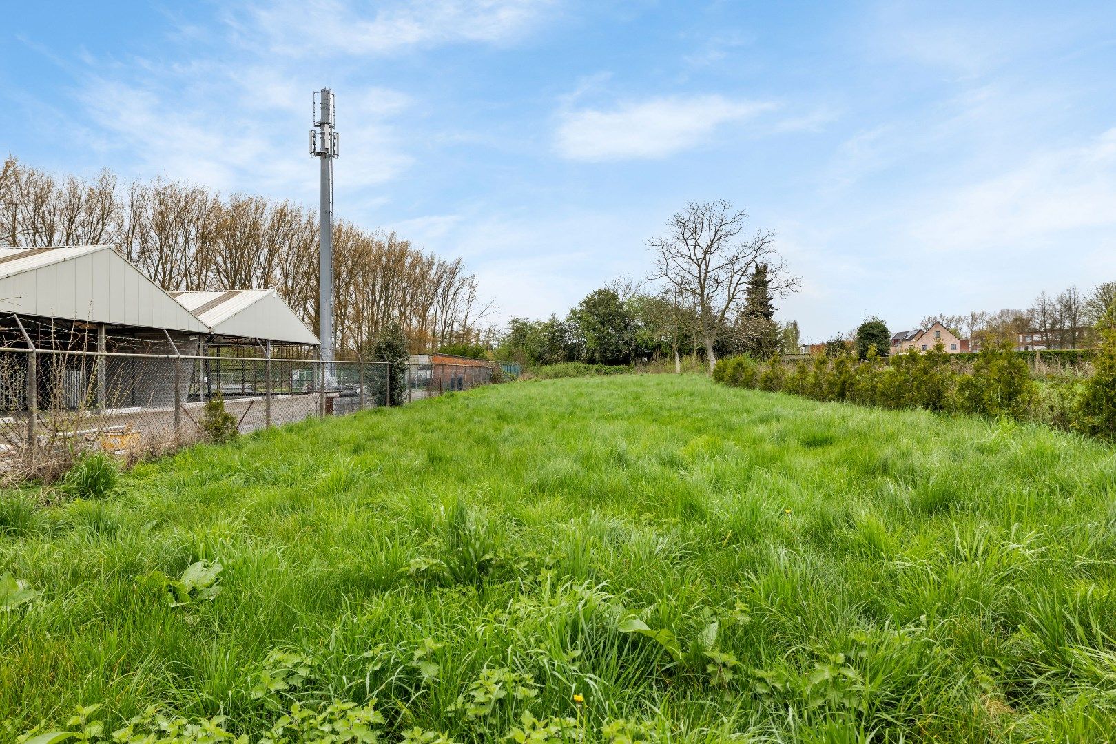 Luxueus gerenoveerde (2025) woning bijgebouw & ruime tuin in Zwijndrecht foto 4