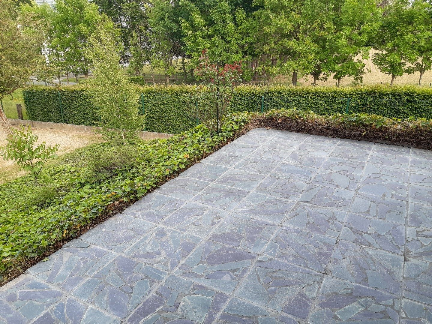 Tijdloos wonen in 't groen. foto 12