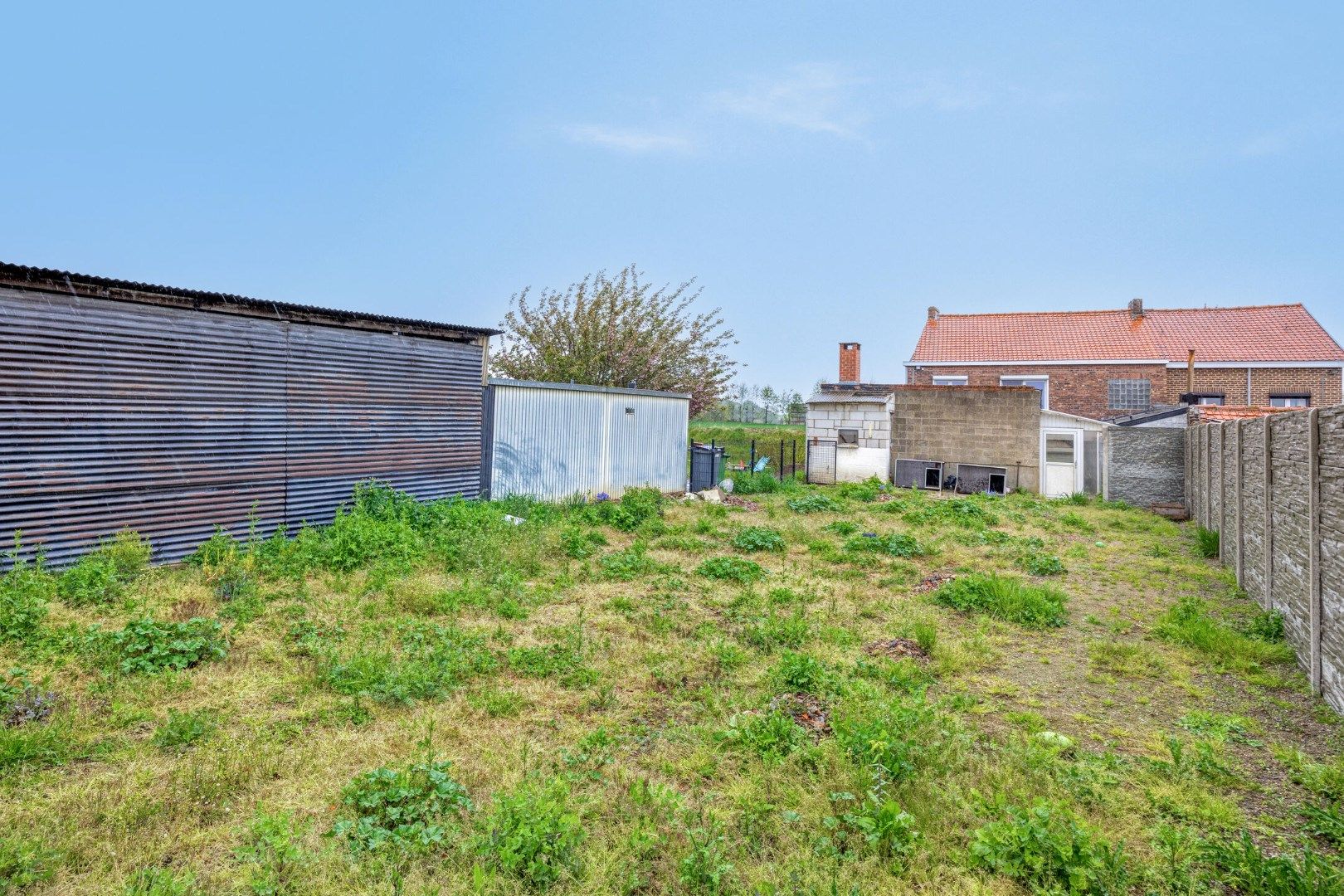 Heks: Woning op 50 are in het hart van Haspengouw, te midden van de natuur foto 27