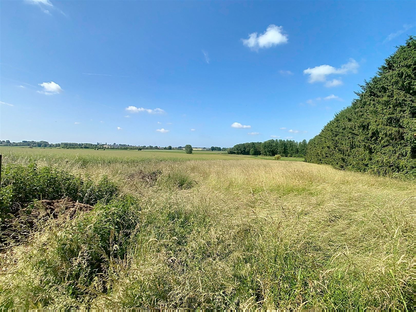 Ruime op te frissen woning, 4 slpks, tuin, weide, 46a 81ca foto 9