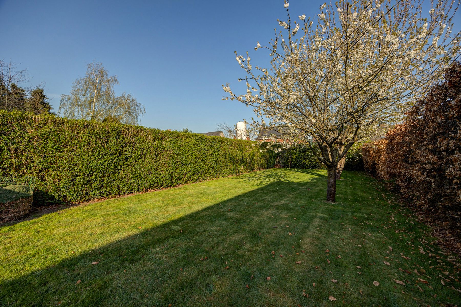 IN OPTIE. Gezinswoning met 4 slpks en tuin in Rijkevorsel 674m2 grond foto 34