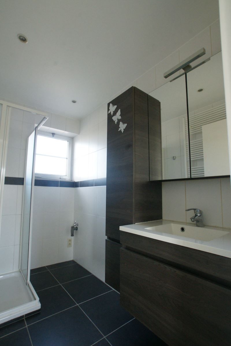Ruim dakappartement met terras foto 8