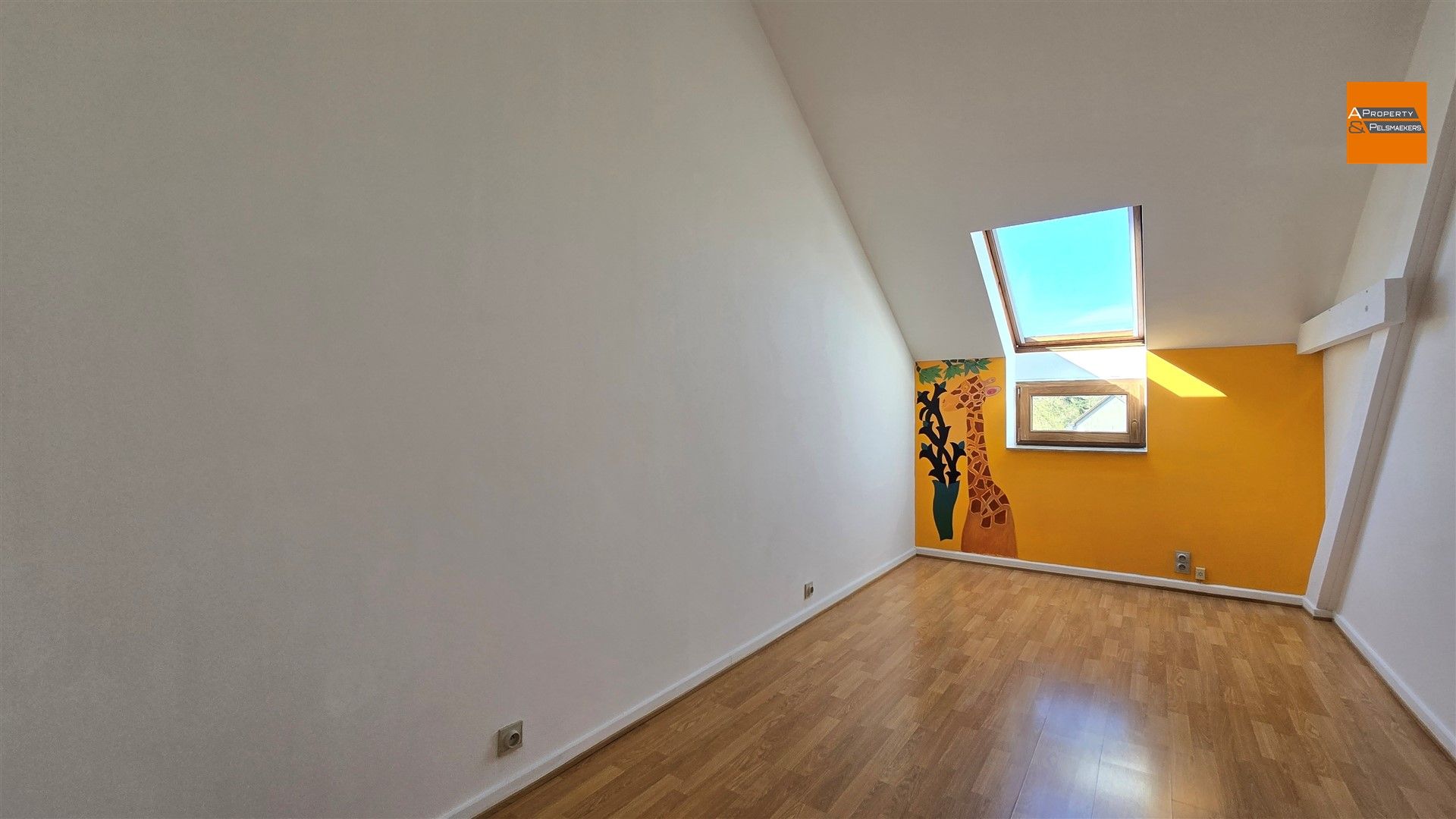 Duplex/triplex foto 12