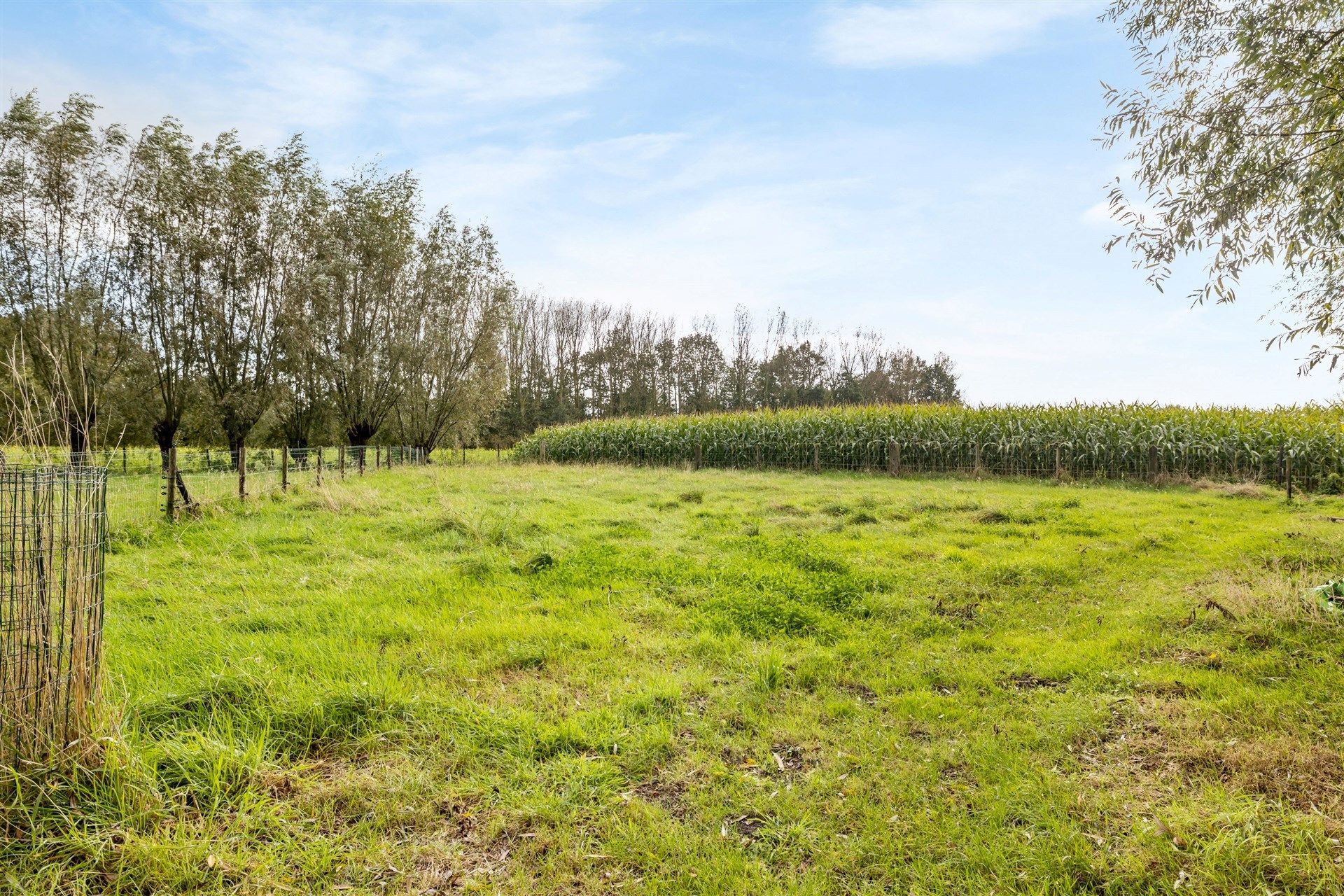 Instapklare gezinswoning met paardenstal en weide op een perceel van 2.639m² foto 29