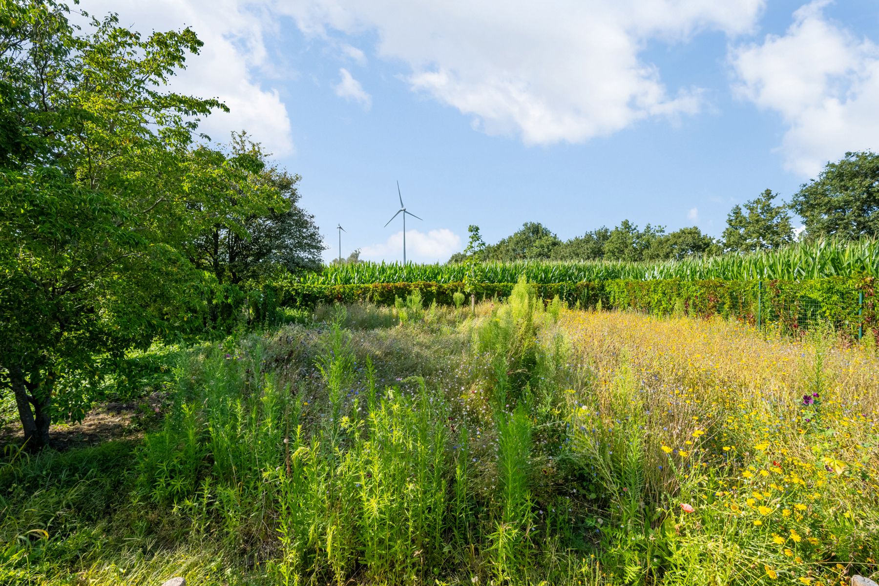 Ruime open bebouwing in een groene omgeving! foto 25