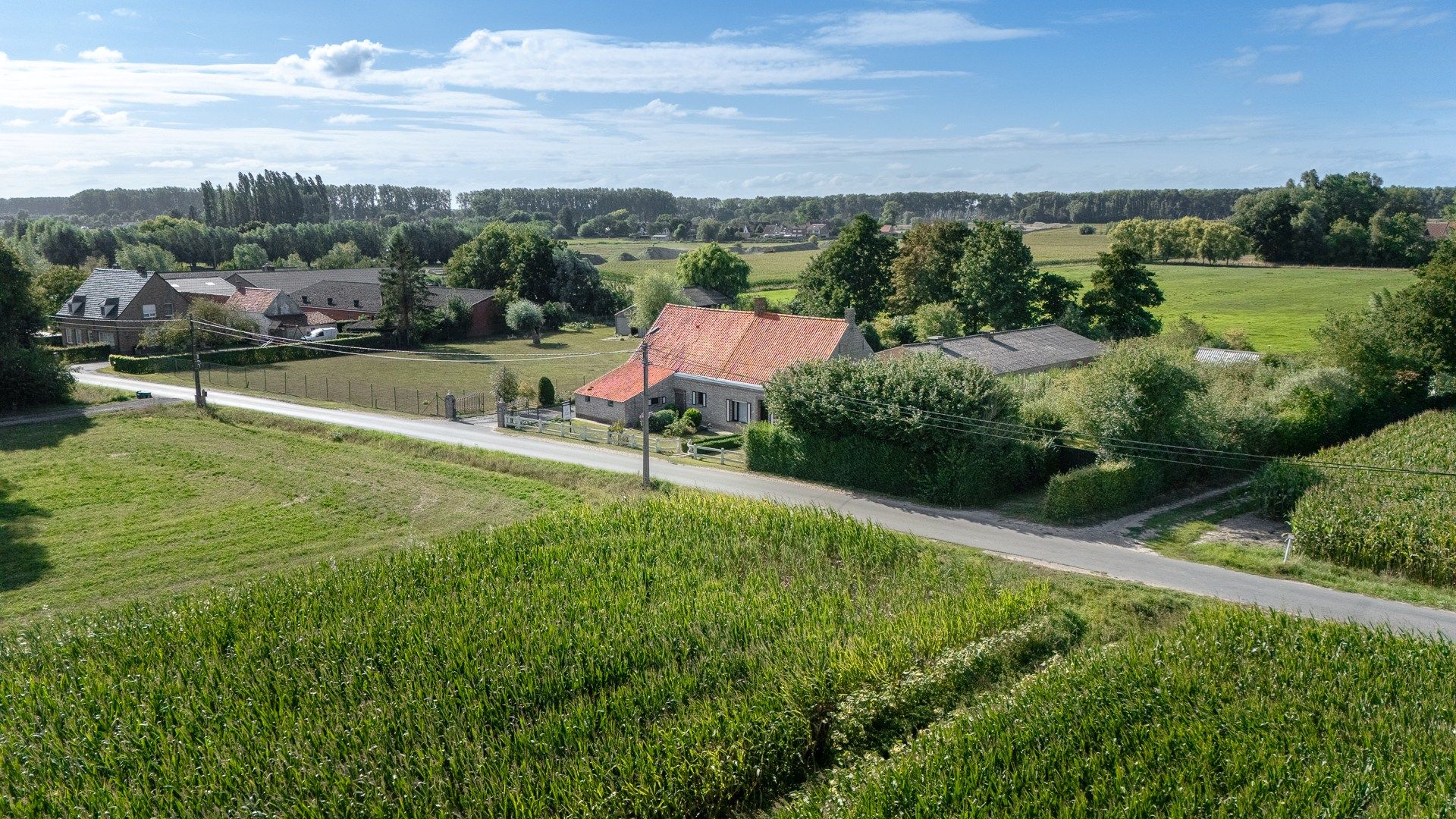 Hoeve schitterend gelegen te Damme foto 3