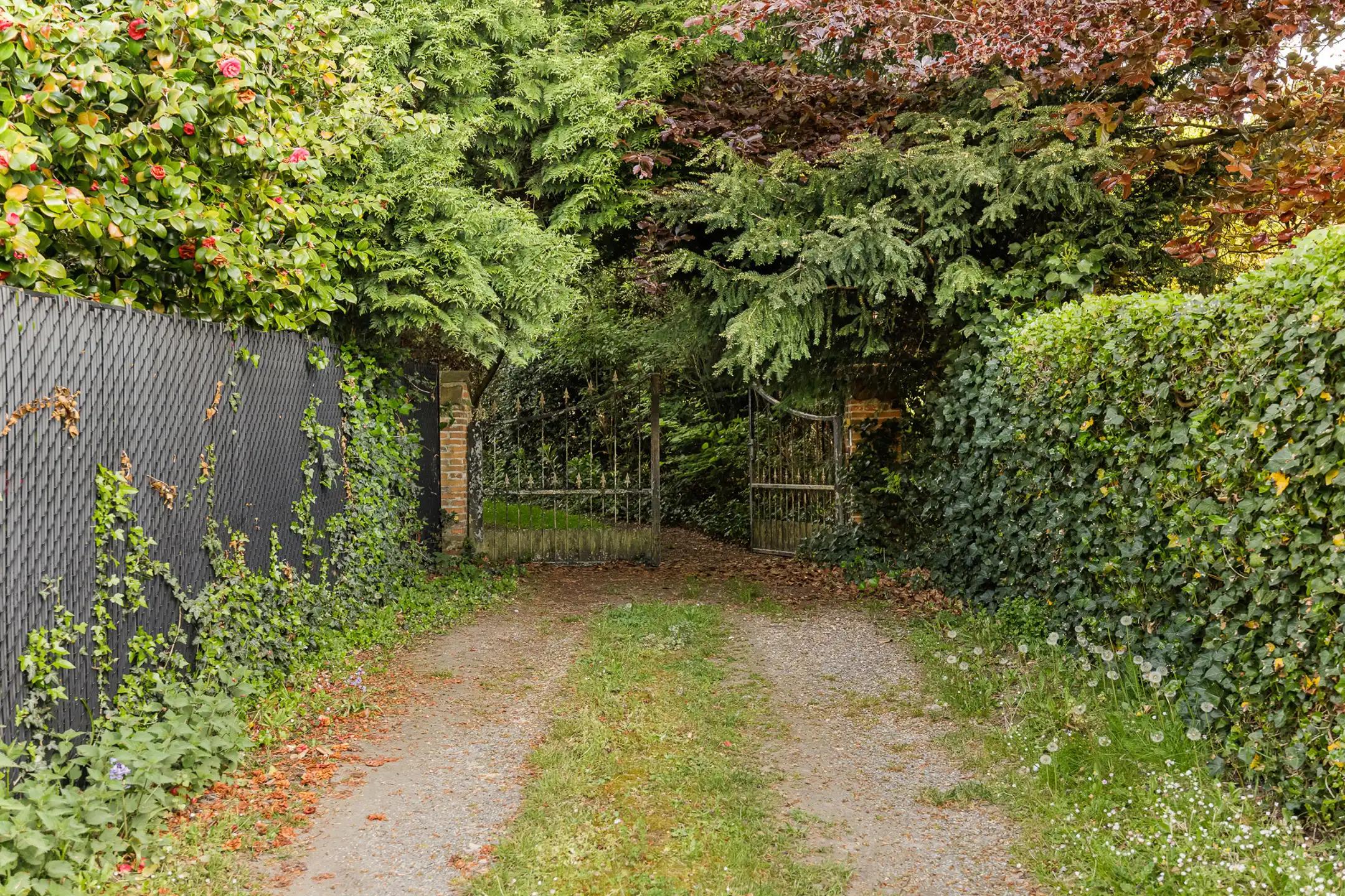Gezellige, op te frissen, vakantiewoning nabij het kanaal Dessel-Schoten. foto 6