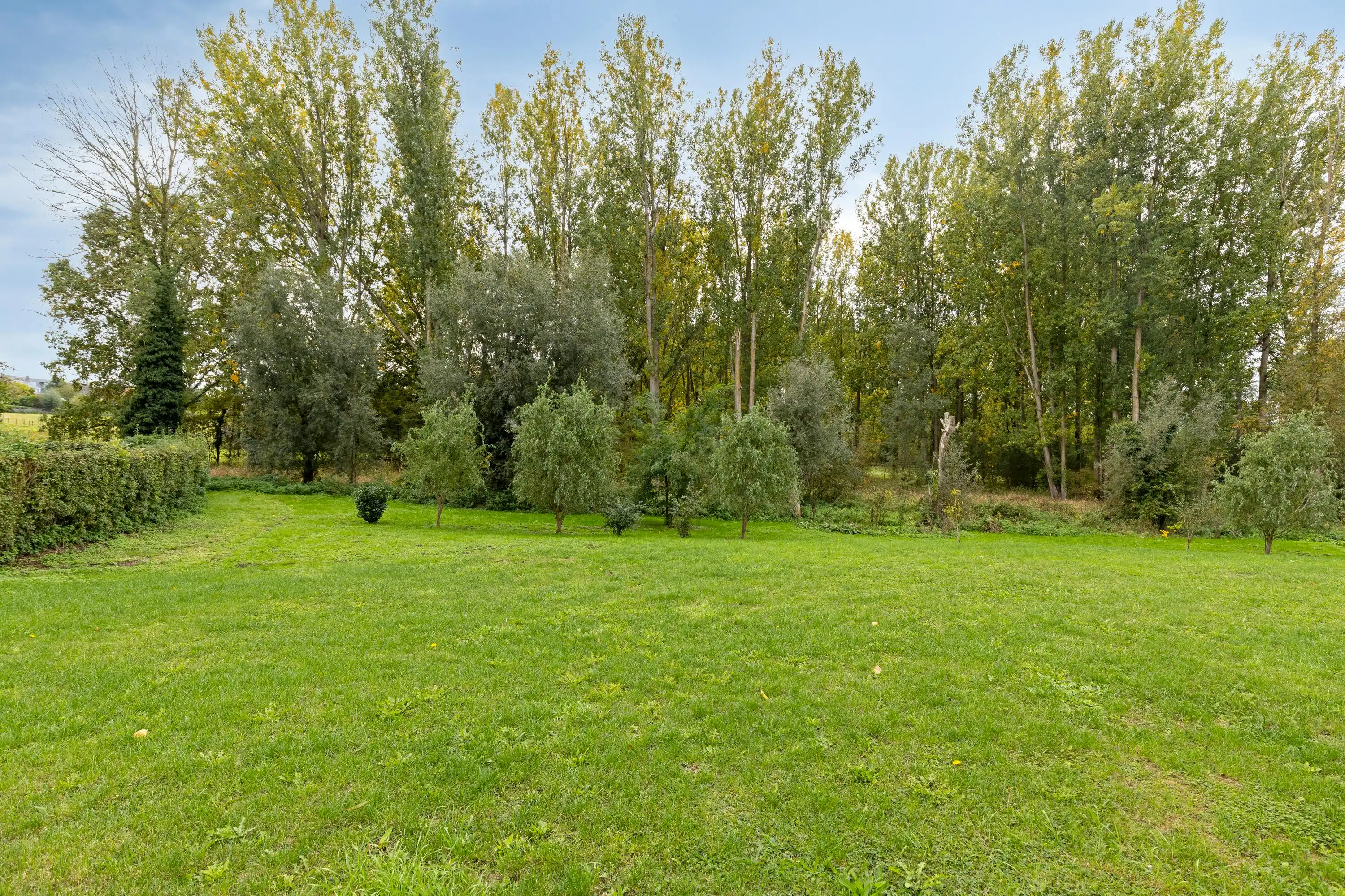 Residentie ‘t Hemelsveld: 4 energiezuinige woningen met tuin foto 18
