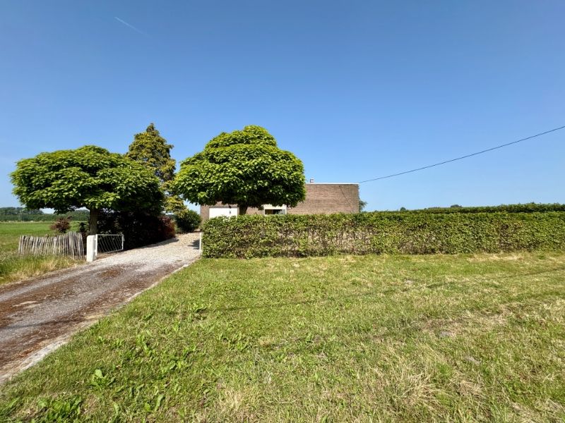 Ruime bungalow met 2 slaapkamers en tuin foto 13