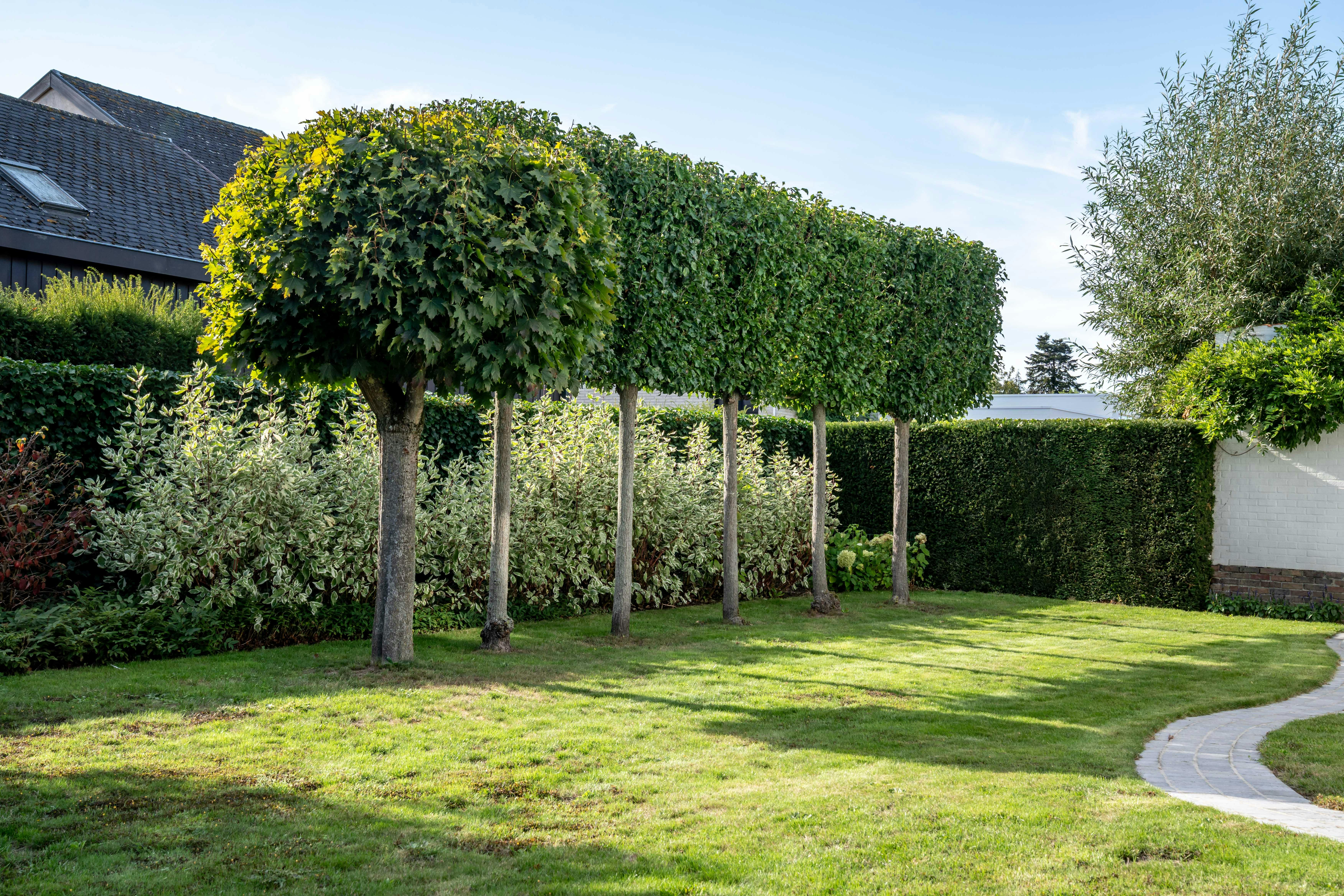 Vrijstaande villa met potentieel in Merellaan te Kortrijk foto 9