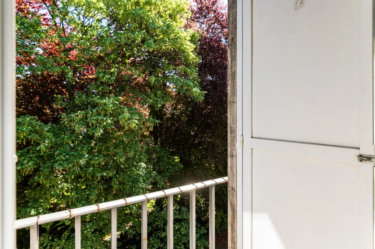 Lichtrijke studio aan het Harmoniepark! foto 11