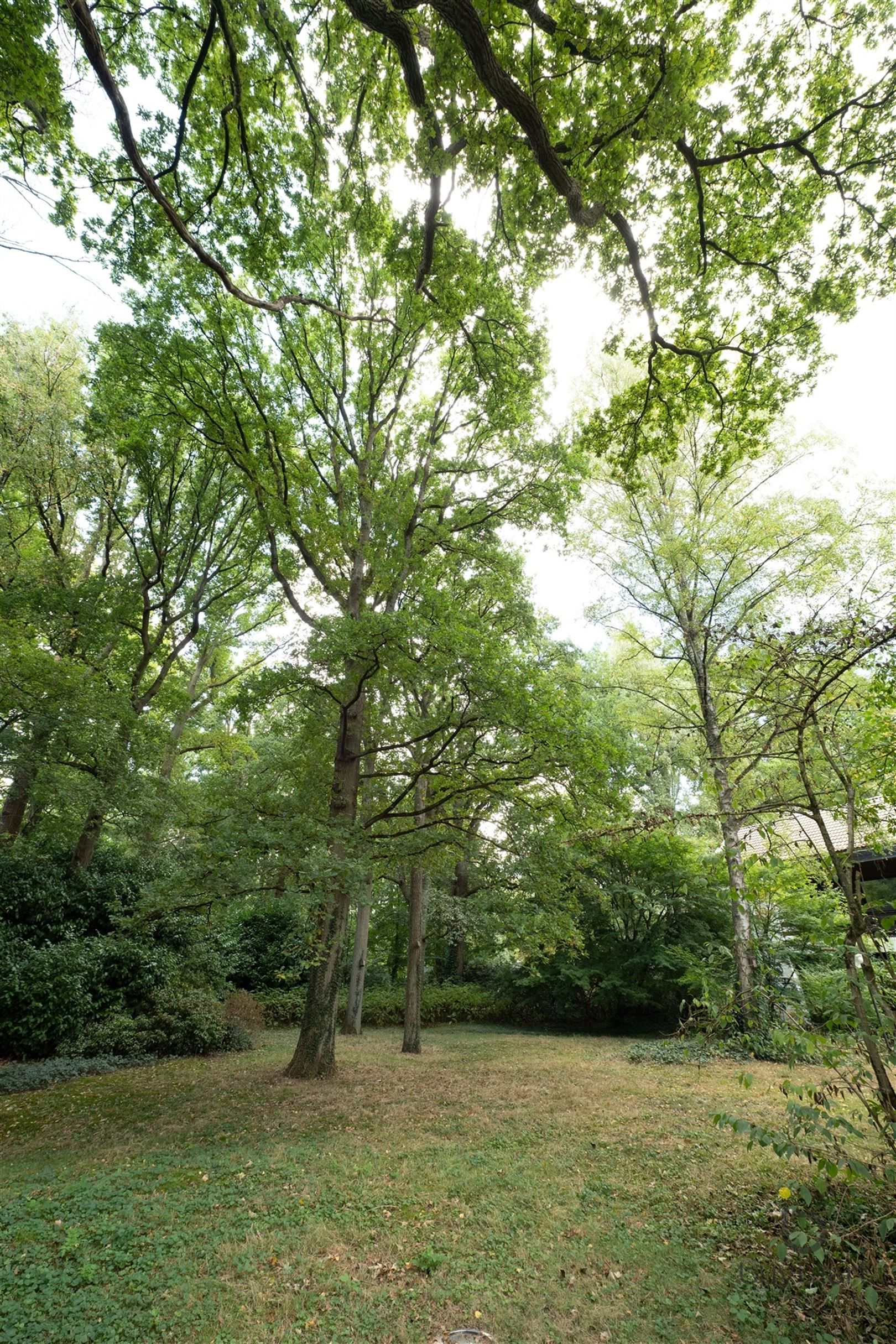 RUIMTE, LICHT ÉN KARAKTER: TE RENOVEREN 70’S VILLA MIDDEN IN HET GROEN! foto 69