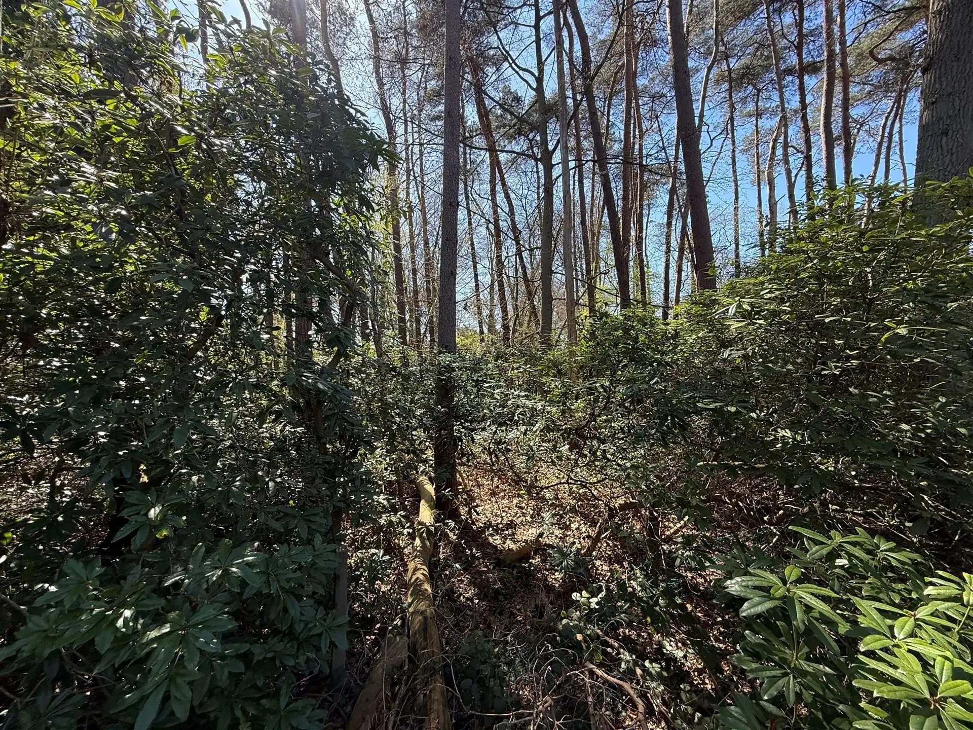 Ruime bouwgrond van 2296 m2 op een schitterende locatie! foto 8