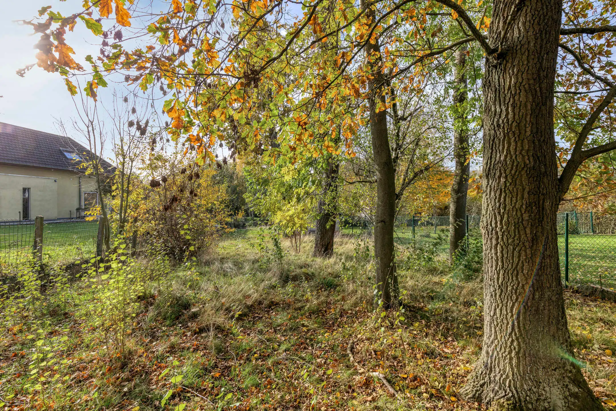 🏡 Charmante bungalow op uitzonderlijke locatie foto 10
