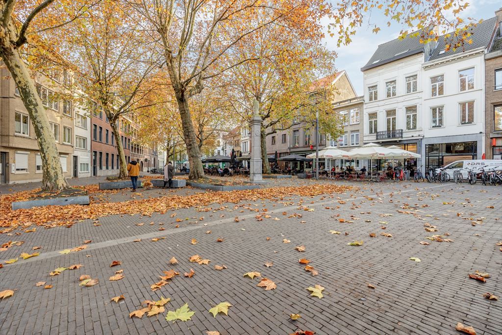Gelijkvloers appartement in centrum A met stadstuin foto 15