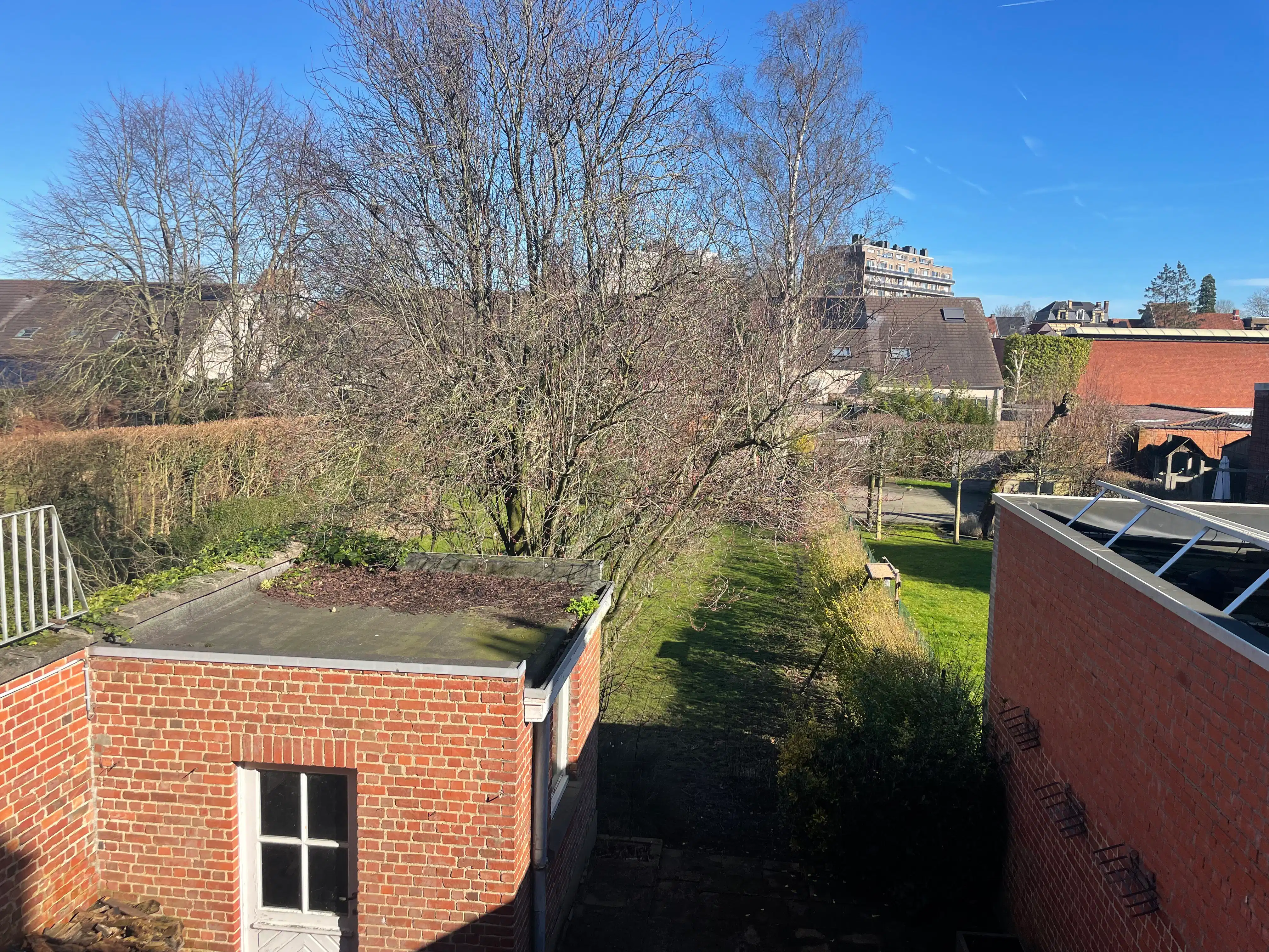 HANDELS-of EENGEZINS)WONING + tuin foto 41