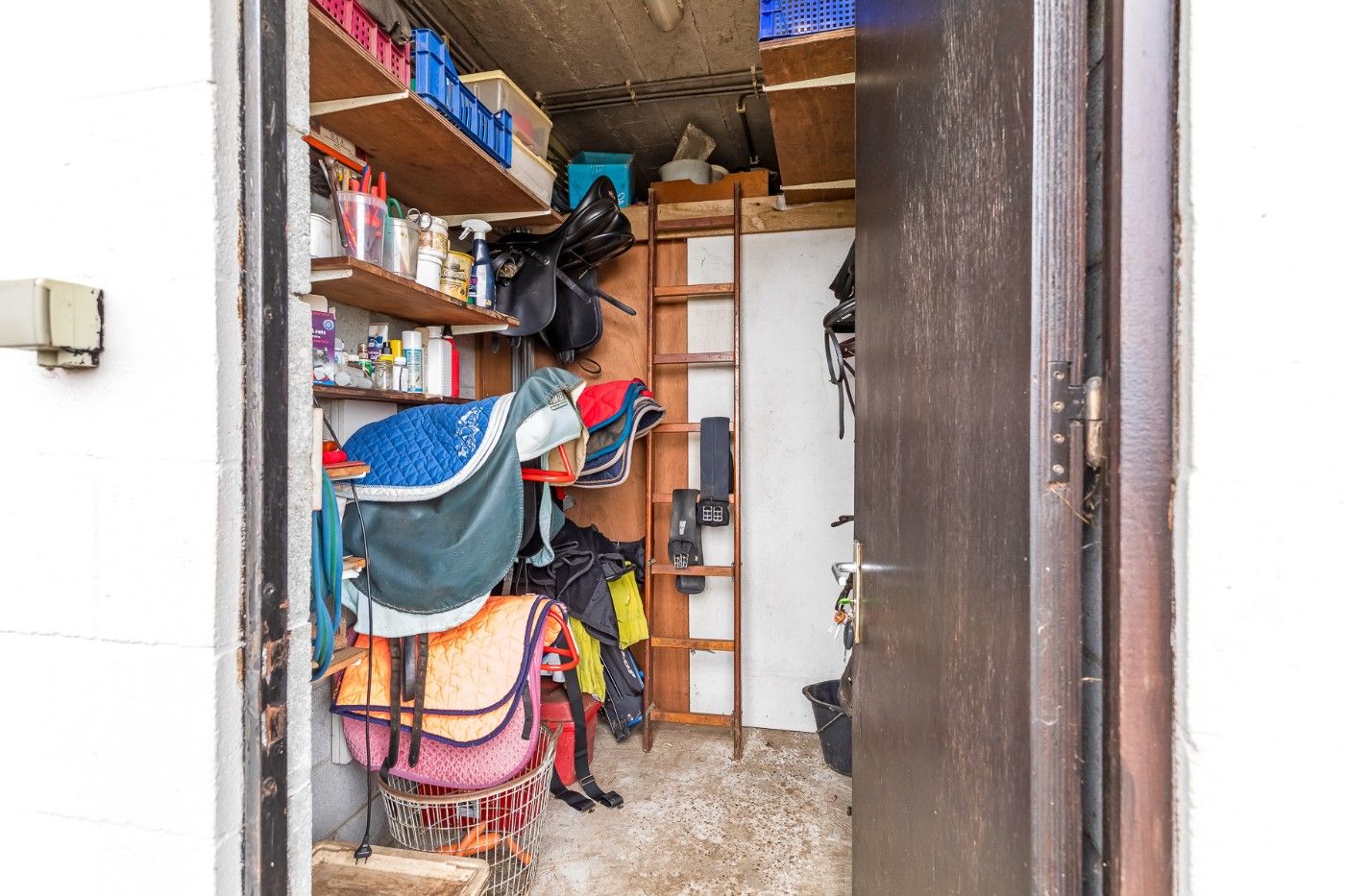 Mooi stuk weiland met 4 paardenstallen en rijpiste van 9840m² te koop in Hoevenen foto 8