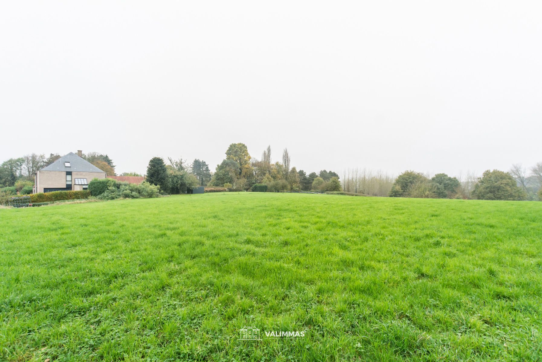 Mooi gelegen weide, vrij van pacht foto 2