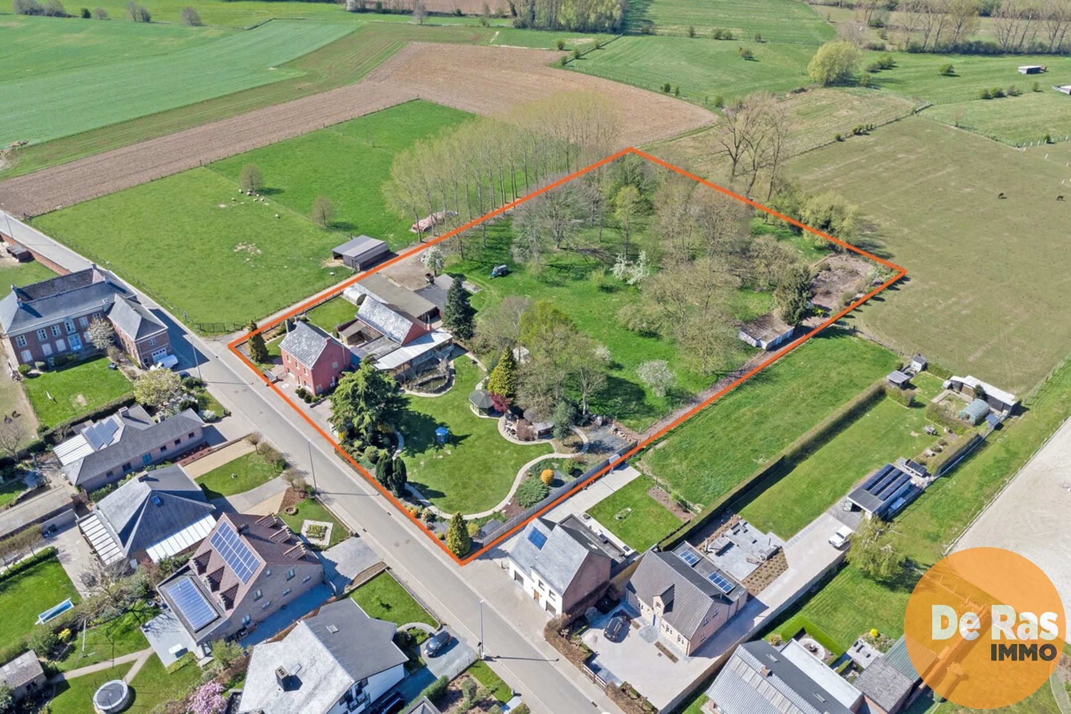 Hoofdfoto van de publicatie: WOUBRECHTEGEM- Karaktervolle renovatiewoning op 1ha 25a 50ca
