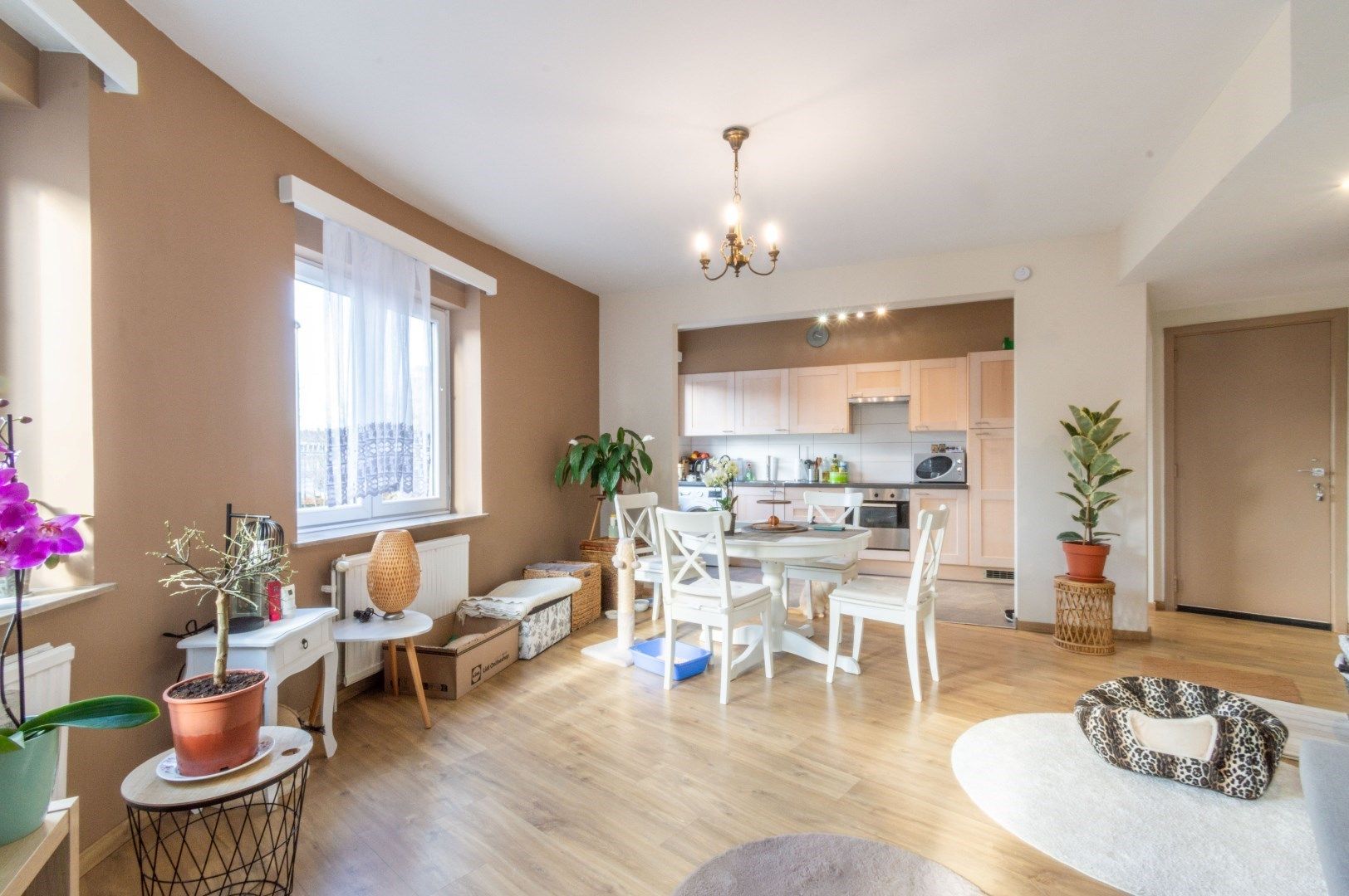 Instapklaar 1-slaapkamer appartement (EPC: B) ! foto {{pictureIndex}}