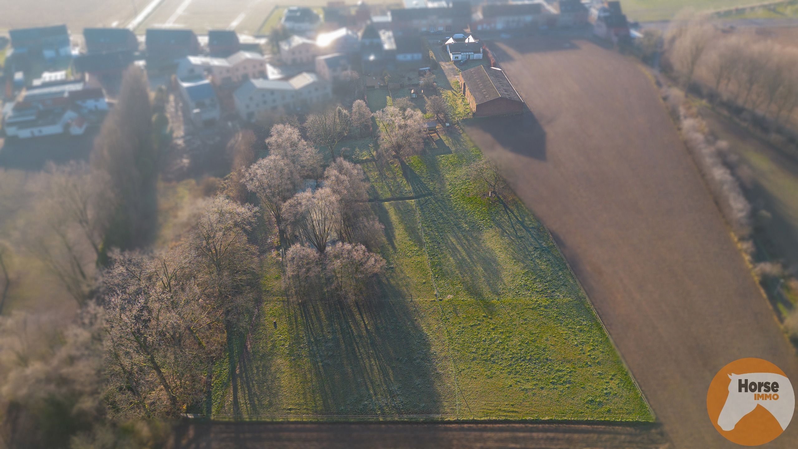 HERZELE - Open bebouwing  met ruime Loods en weides foto 7