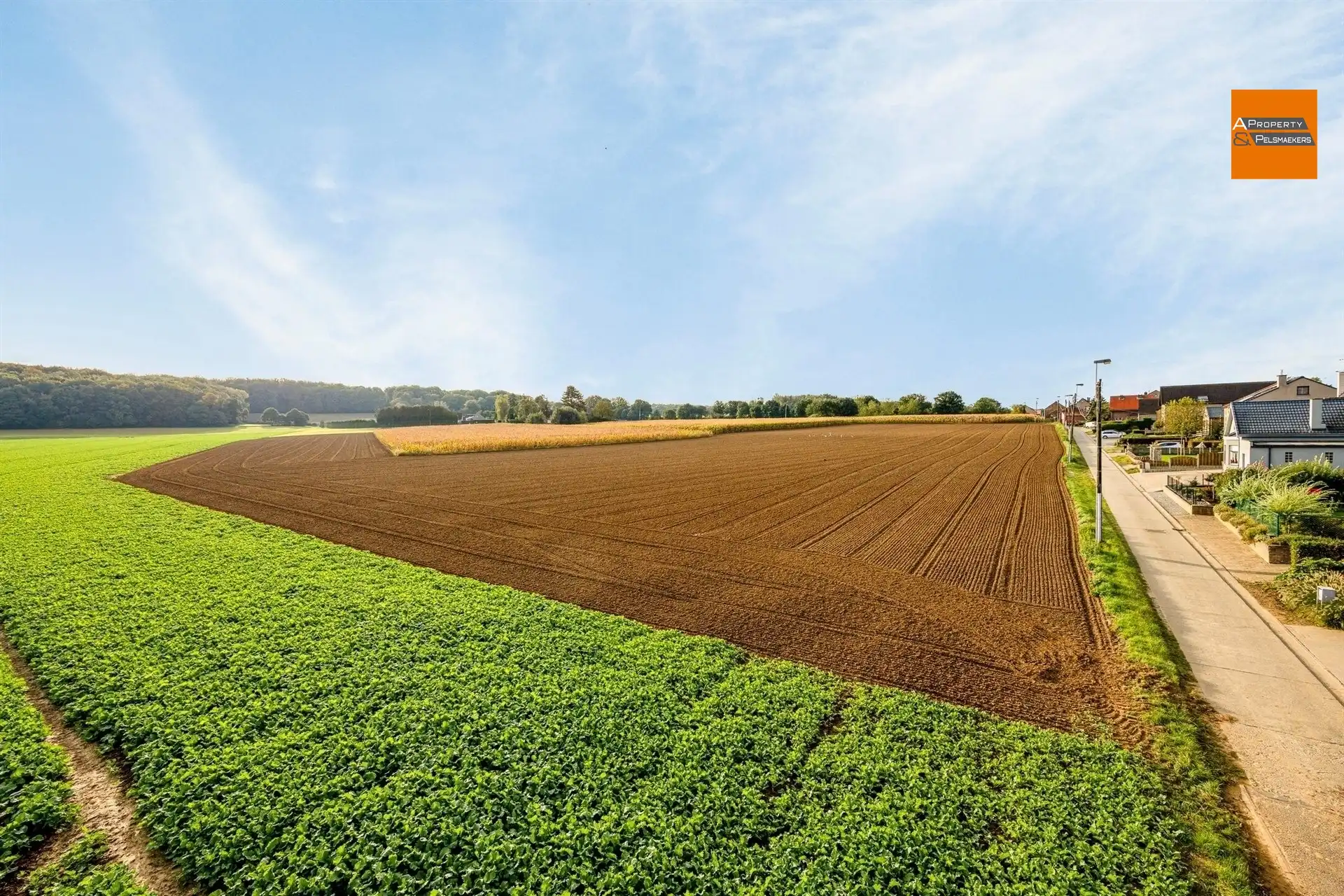 Ruime nieuwbouw villa met 4 slaapkamers foto 26