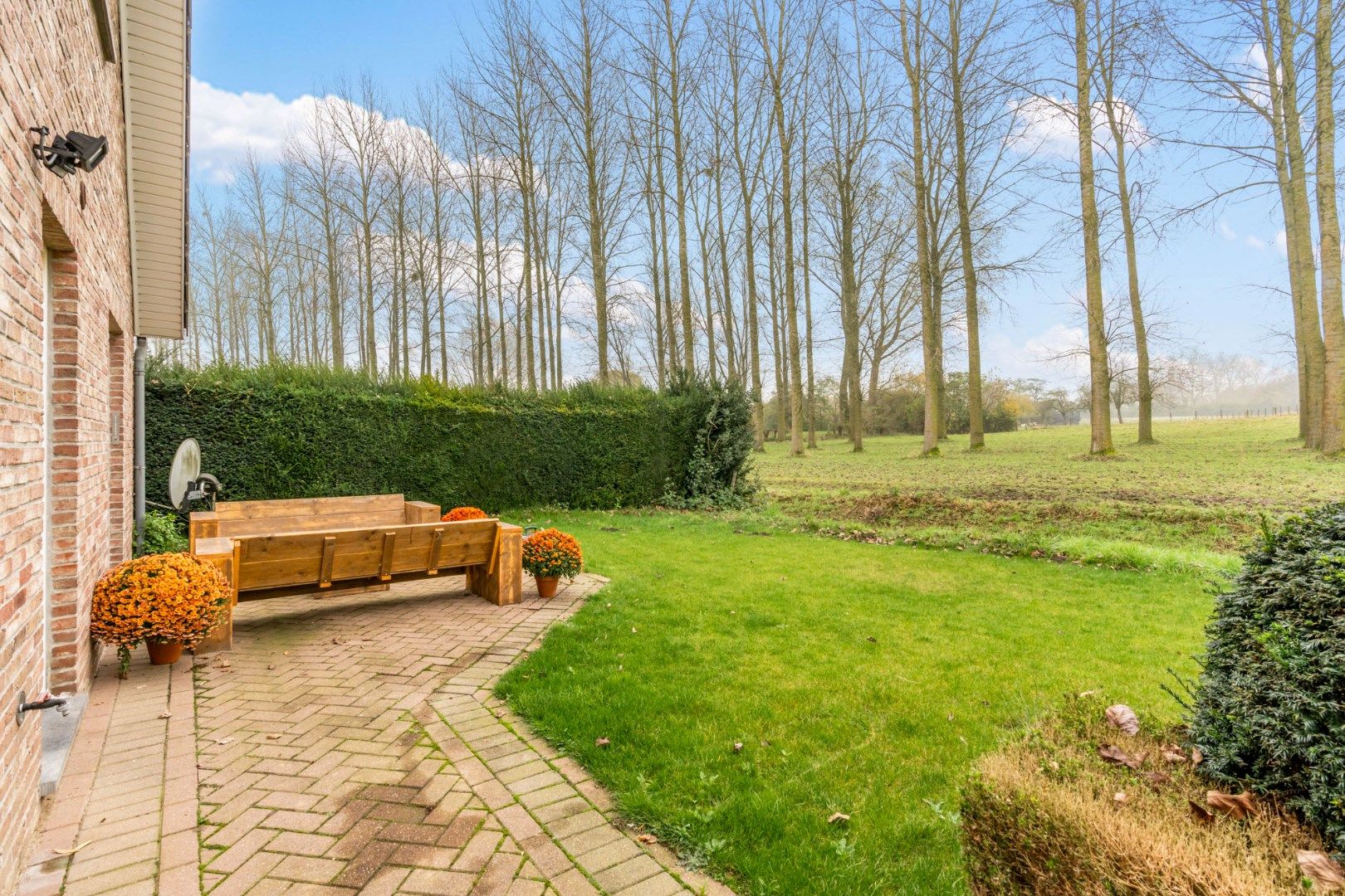 Vrijstaande woning met zicht op weiland in Tongeren-Nerem foto 28