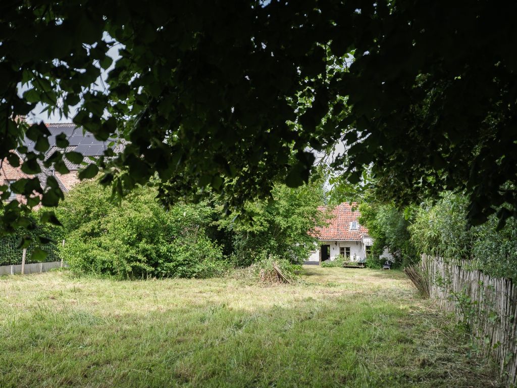 Dikkelvenne – Te renoveren hoeve op een terrein van 2.179 m², omgeven door groen en weides. foto 21