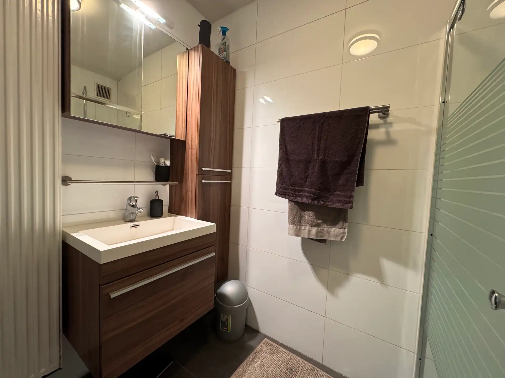 Appartement met twee slaapkamers en tuin foto 10