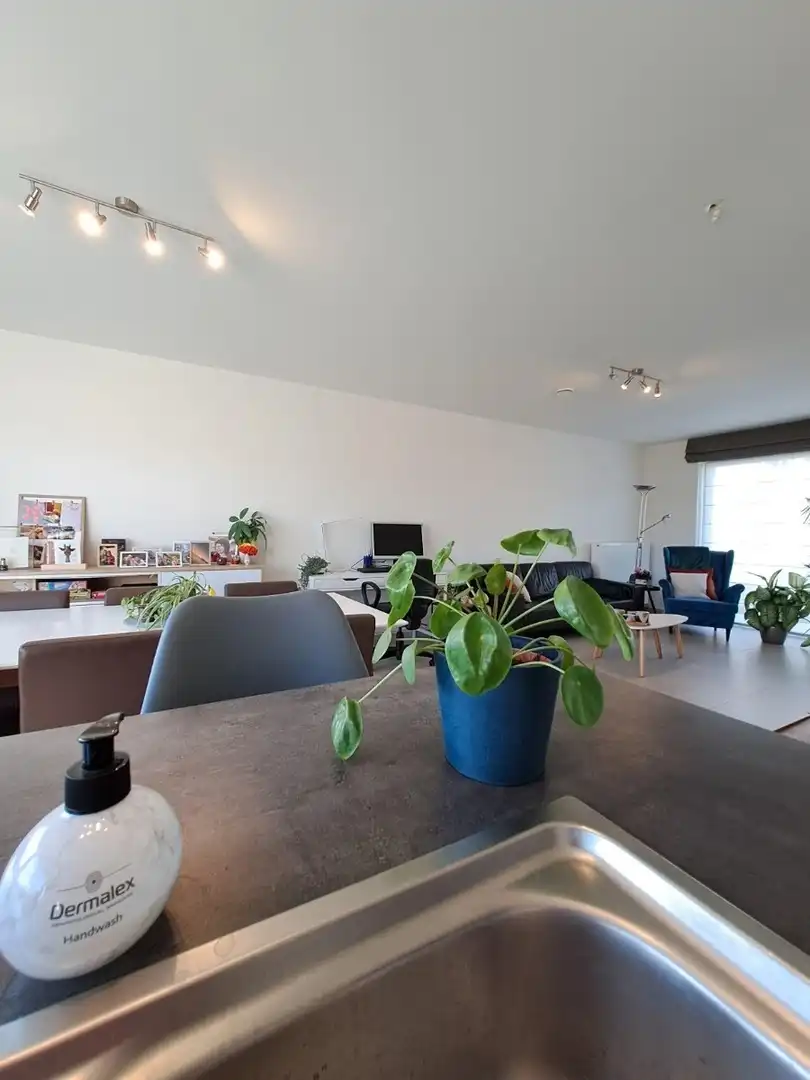 Energiezuinige en instapklare woning met 3 slaapkamers in Leanderhof te Zwevegem! foto 12