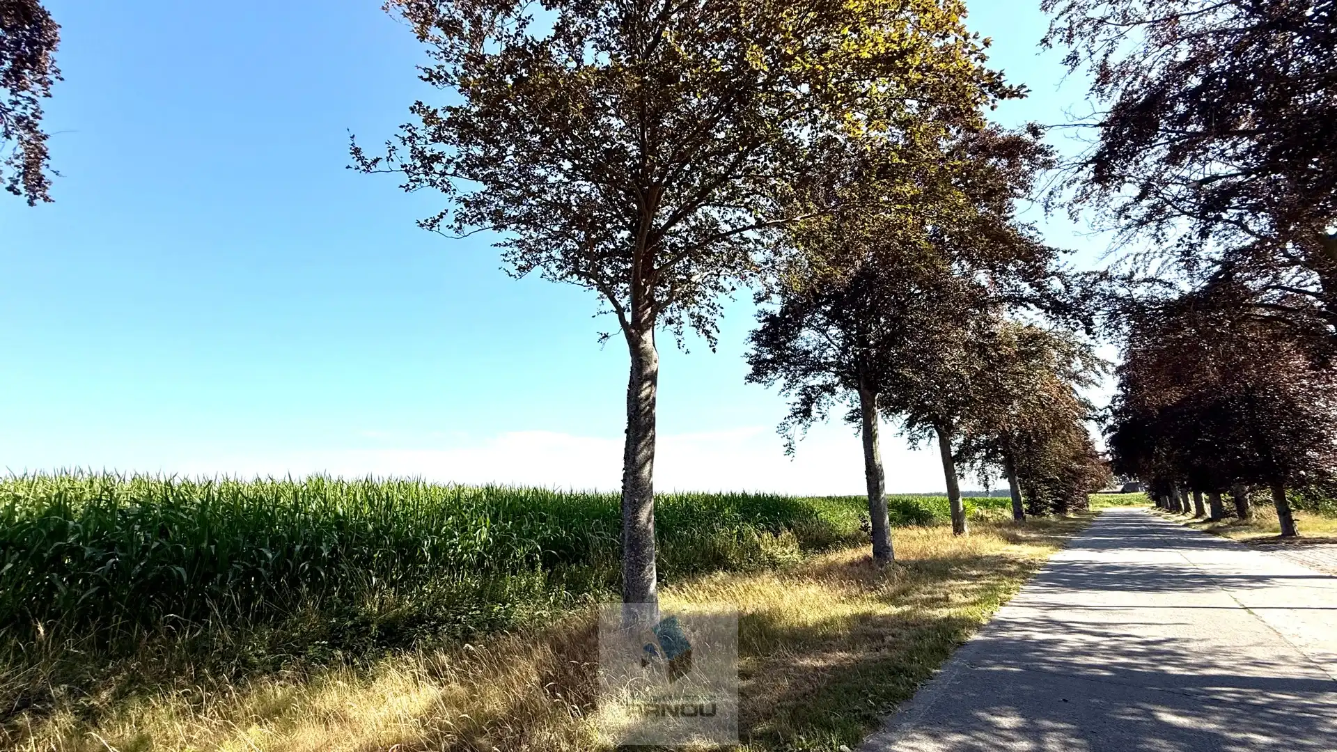 Charmante vrijstaande gezinswoning met open zicht in het landelijke Oostwinkel foto 28