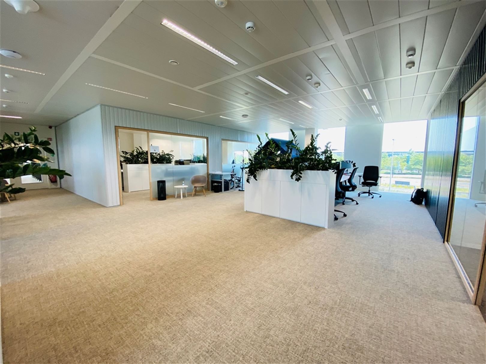 Gemeubelde kantoren in stijlvol gebouw langs The Loop foto 18