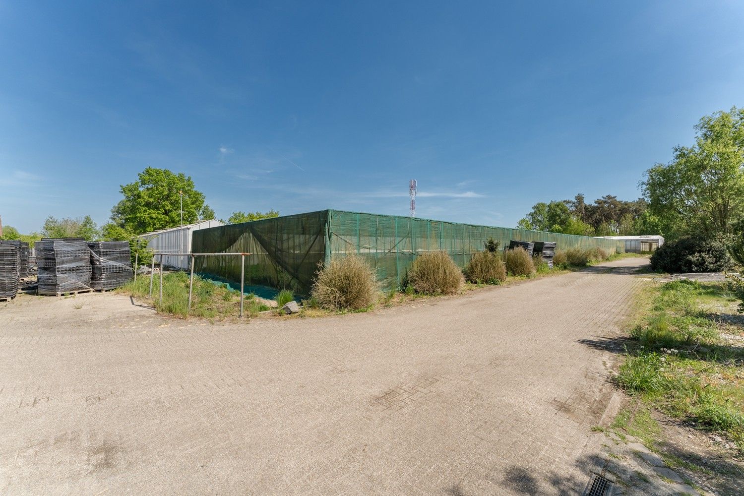 Uitgebreid Tuindersbedrijf met Woonhuis, Serres, Schermhallen en grote Bedrijfsloods op 2ha56a77! foto 15