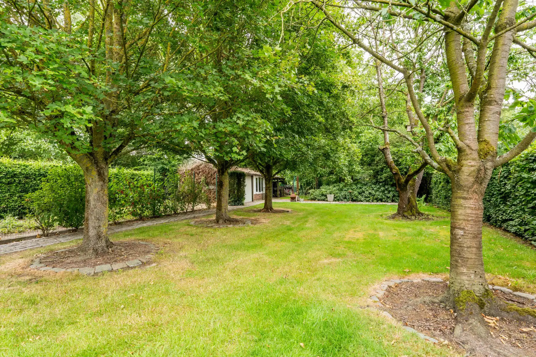 Huis te koop foto 21