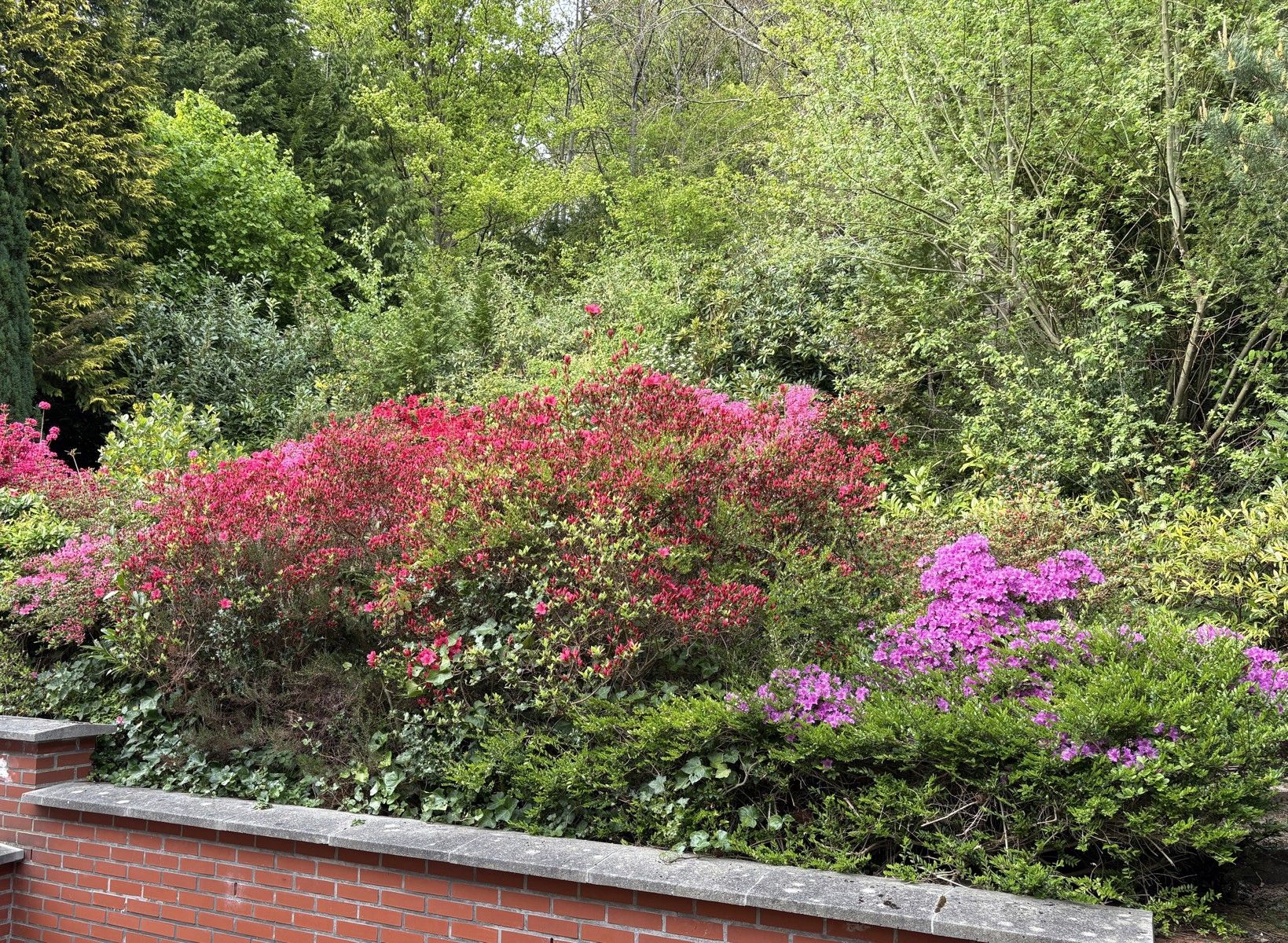 Ruime gezinswoning - rustig wonen in het groen. foto 23