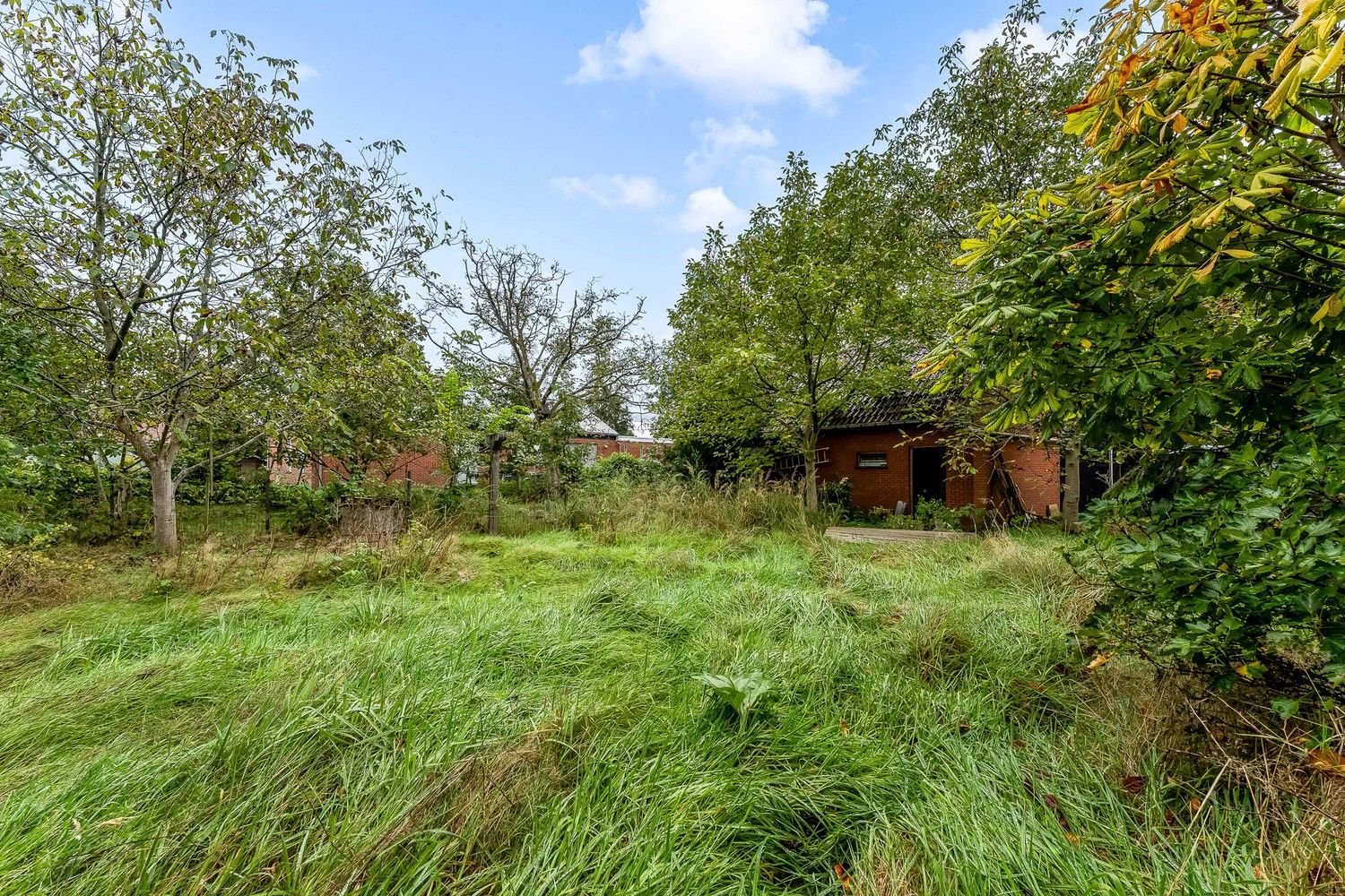 Renovatieproject op een uitstekende ligging te Bonheiden foto 12