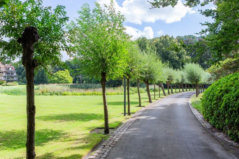 Riant, lumineus instapklaar 3 slaapkamer appartement in een oase van groen + P en ruim zonne-terras! foto 26